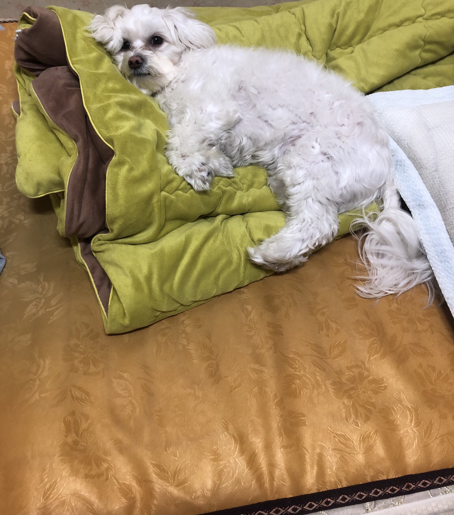 탈퇴한 회원 프로필 이미지