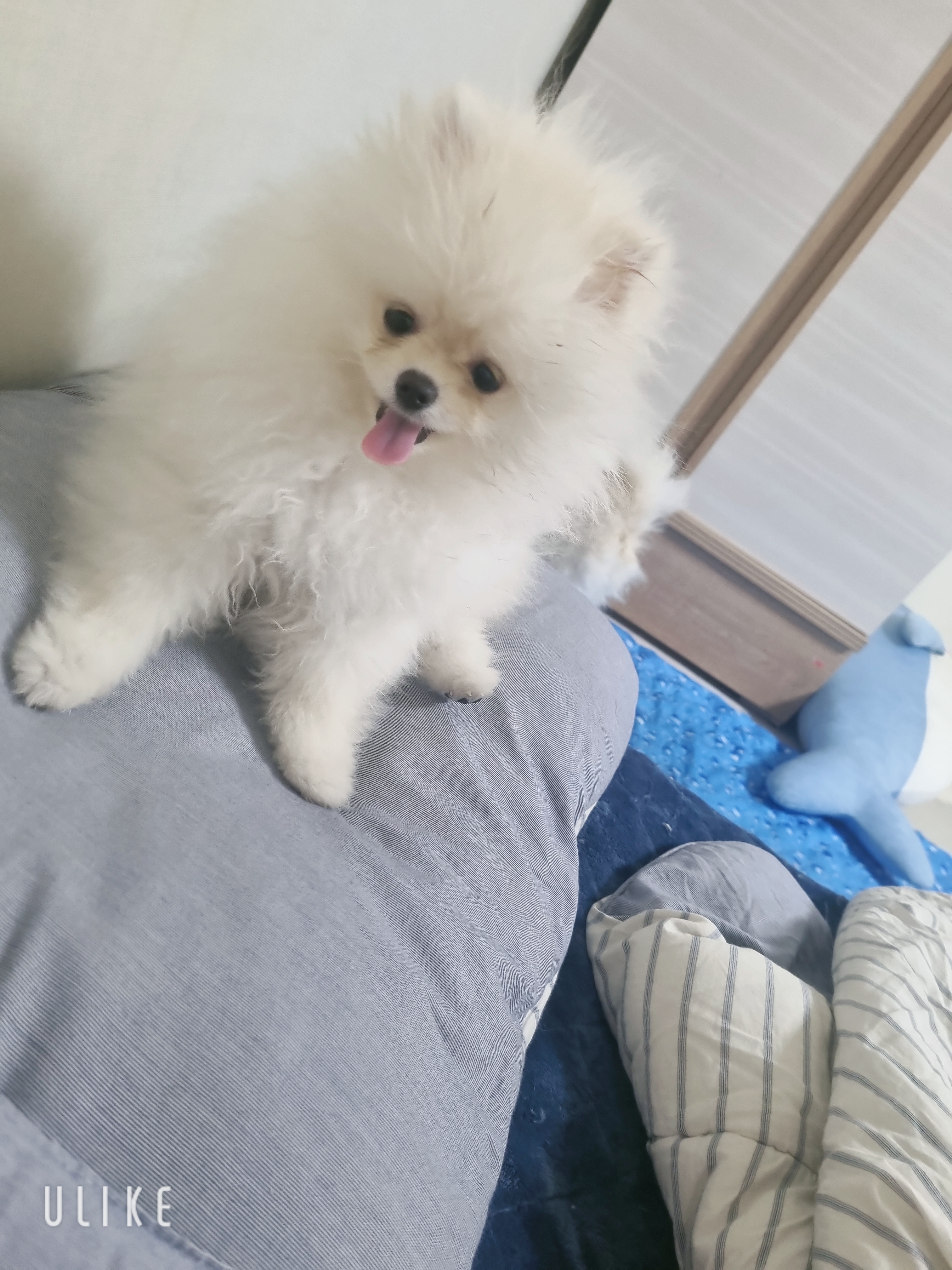 콩몽깡 프로필 이미지