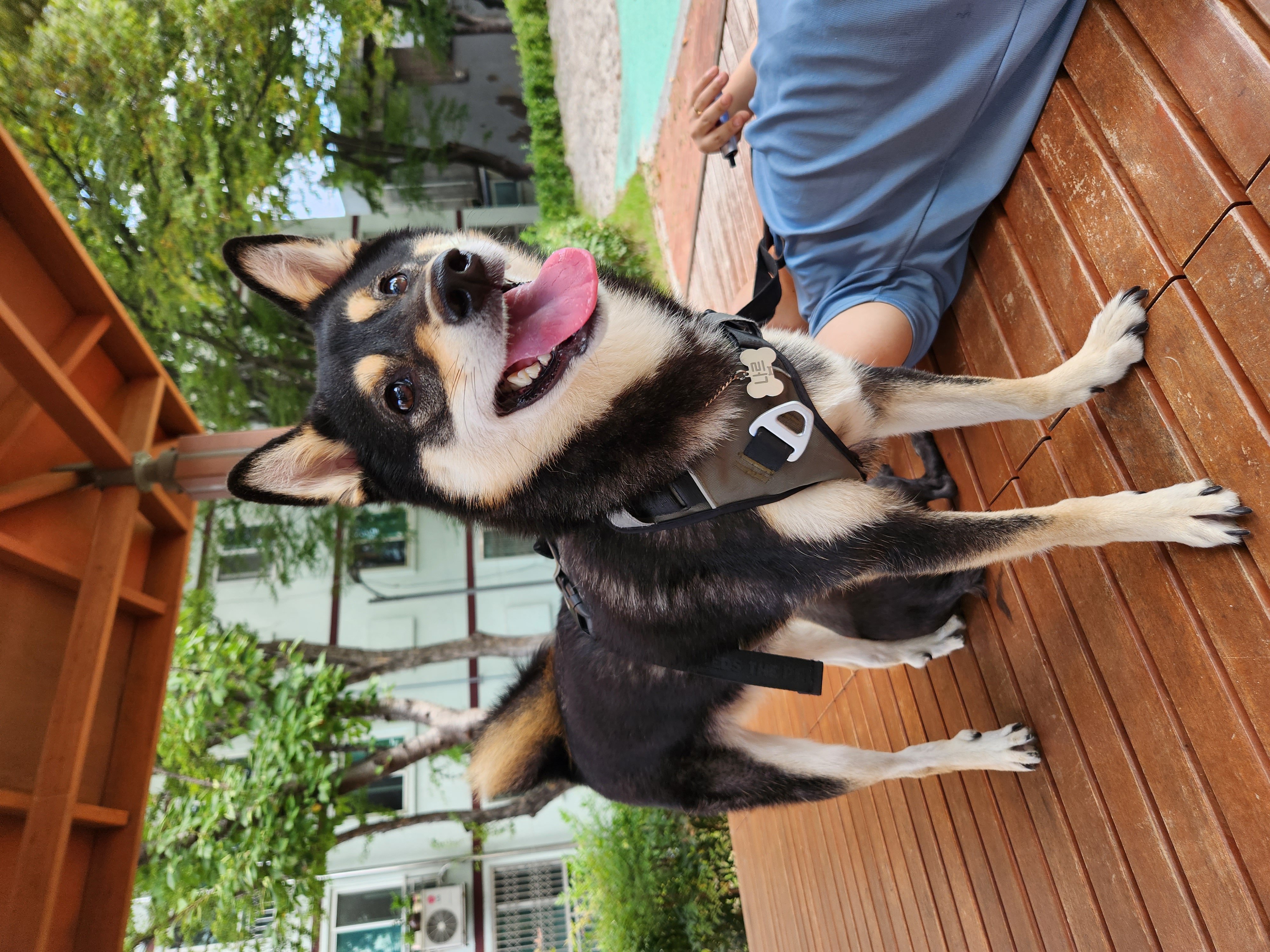 죠미 프로필 이미지