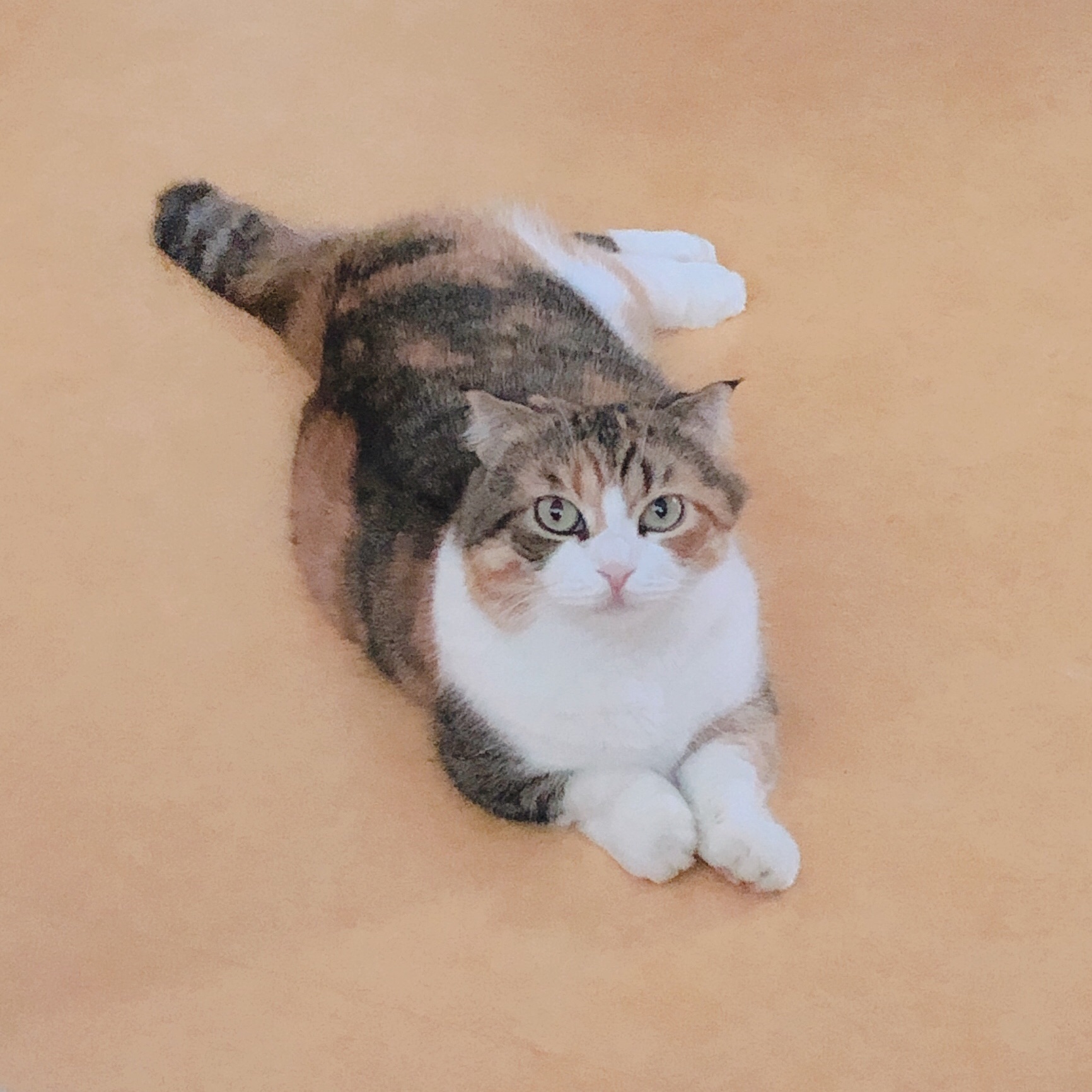 judykim2 프로필 이미지