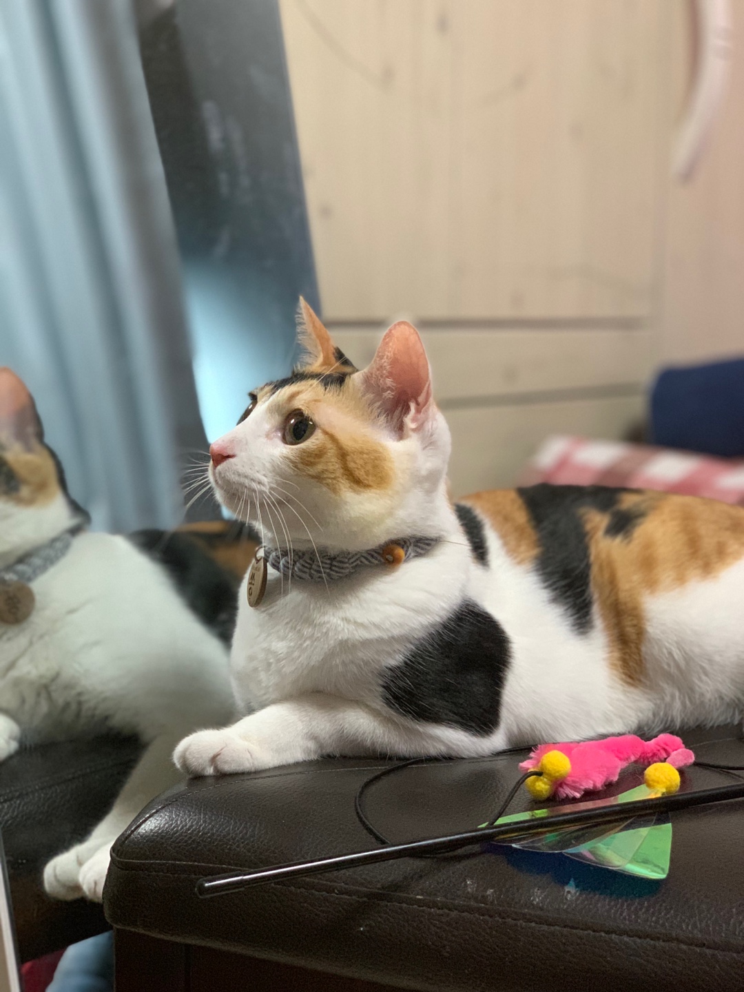 쏭맘 프로필 이미지