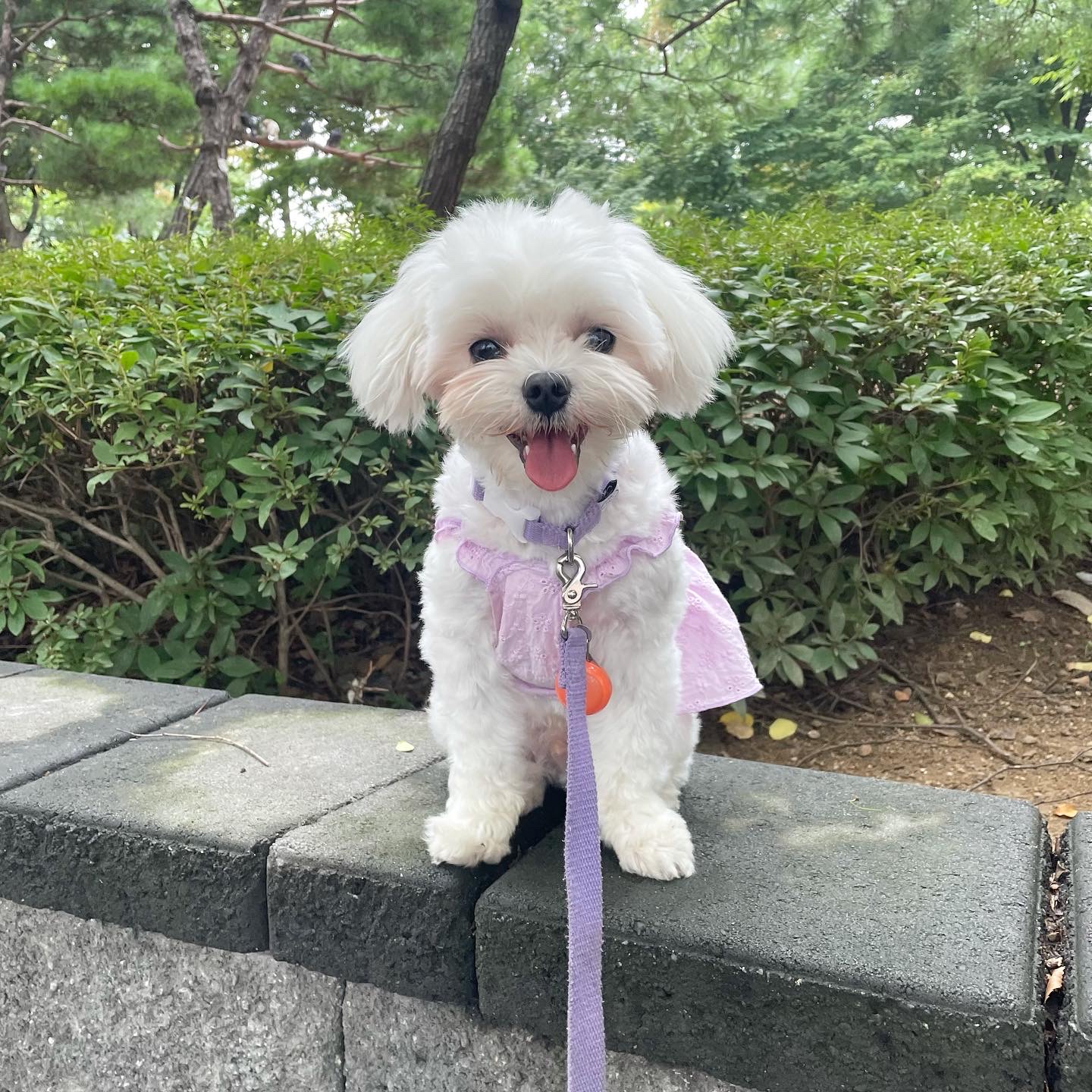 dbsrud8832 프로필 이미지