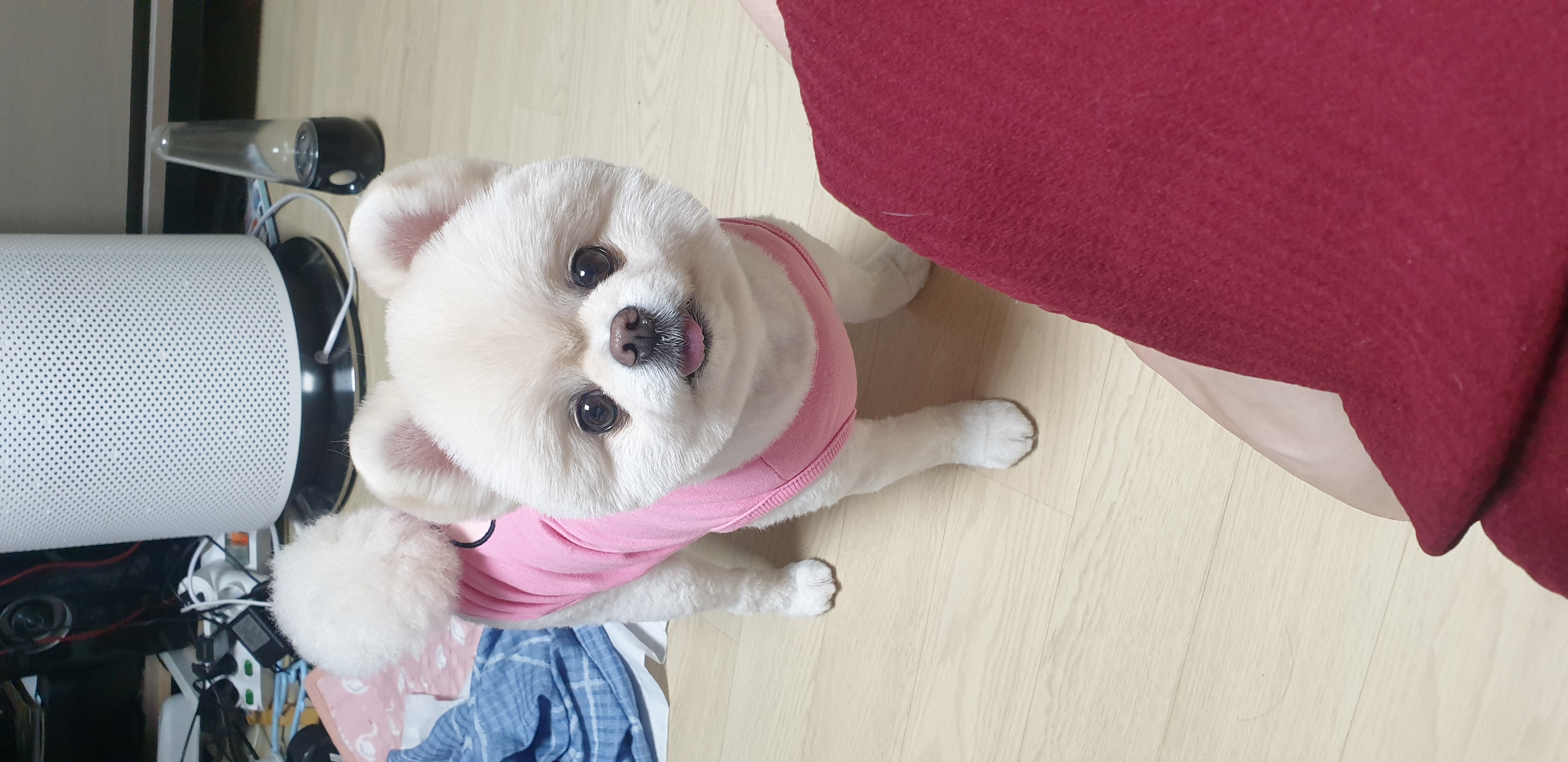 만쥬맘 프로필 이미지