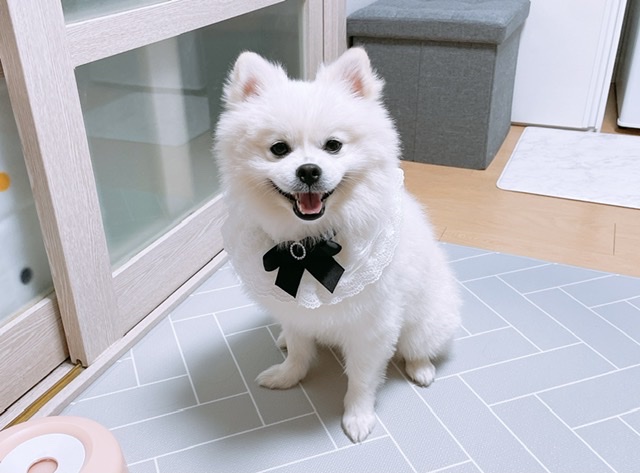 뚜하 프로필 이미지