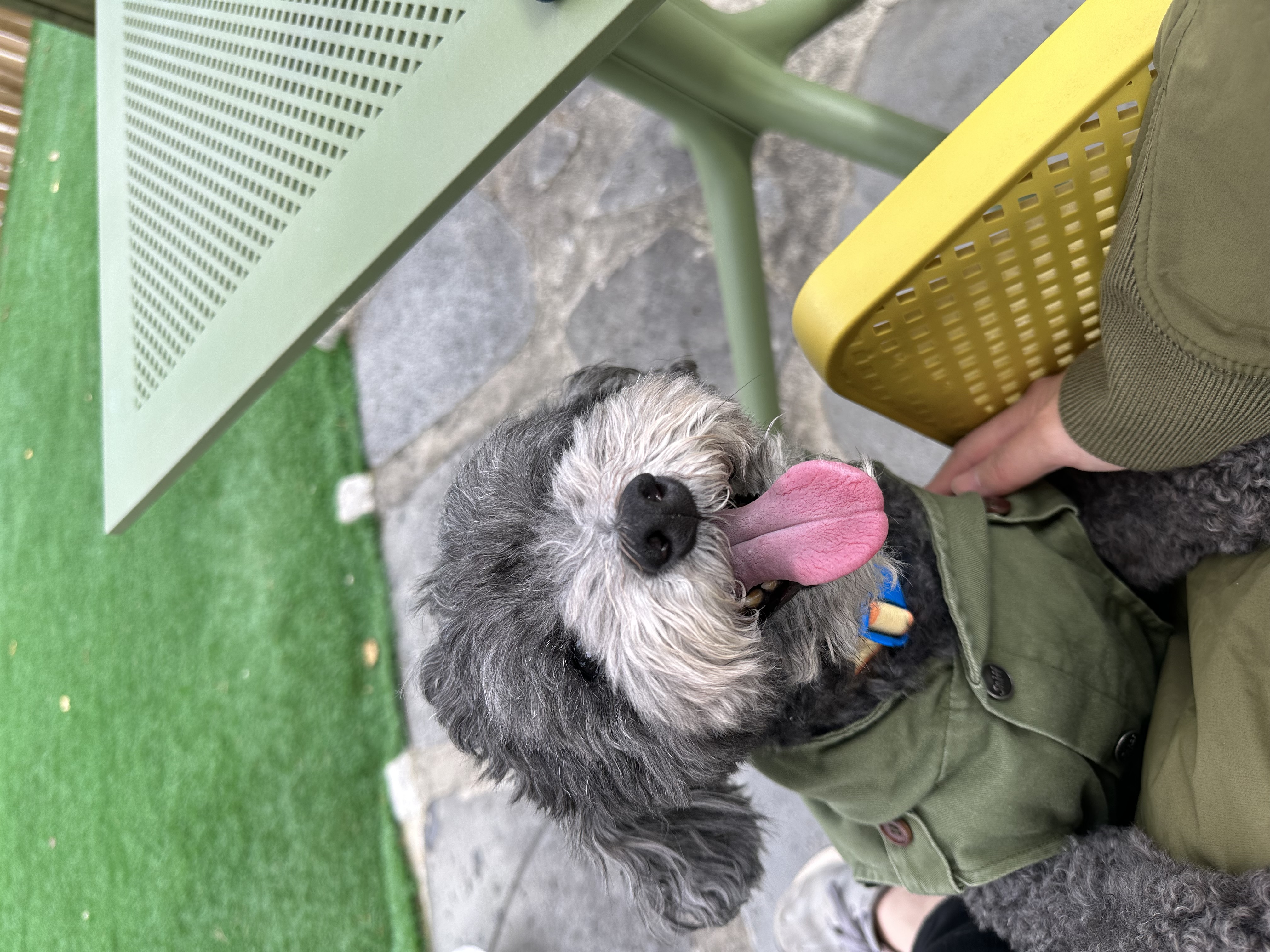 계절이네 프로필 이미지