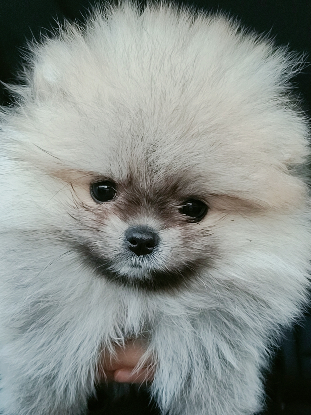 서콩당 프로필 이미지