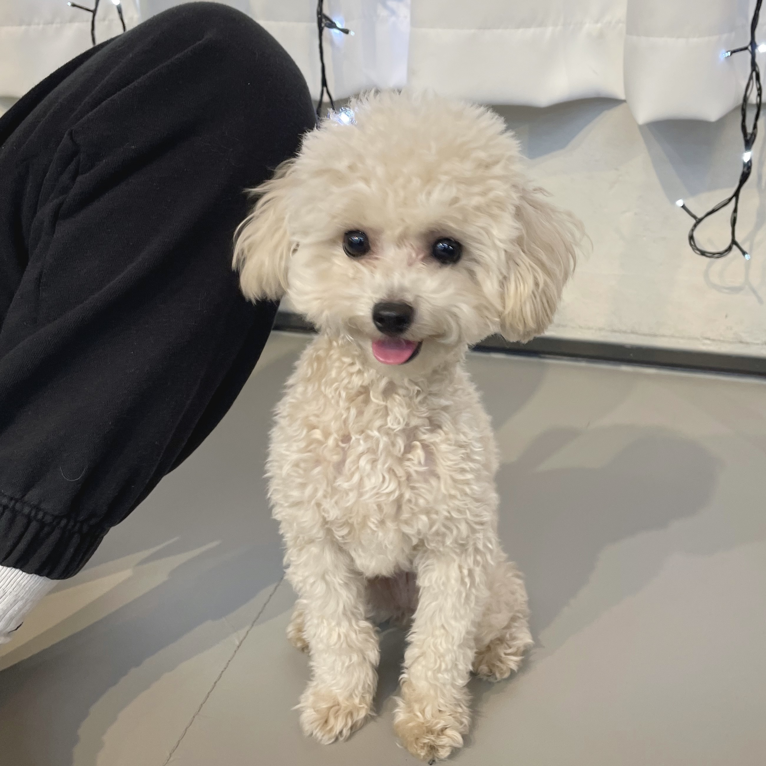 지니예 프로필 이미지
