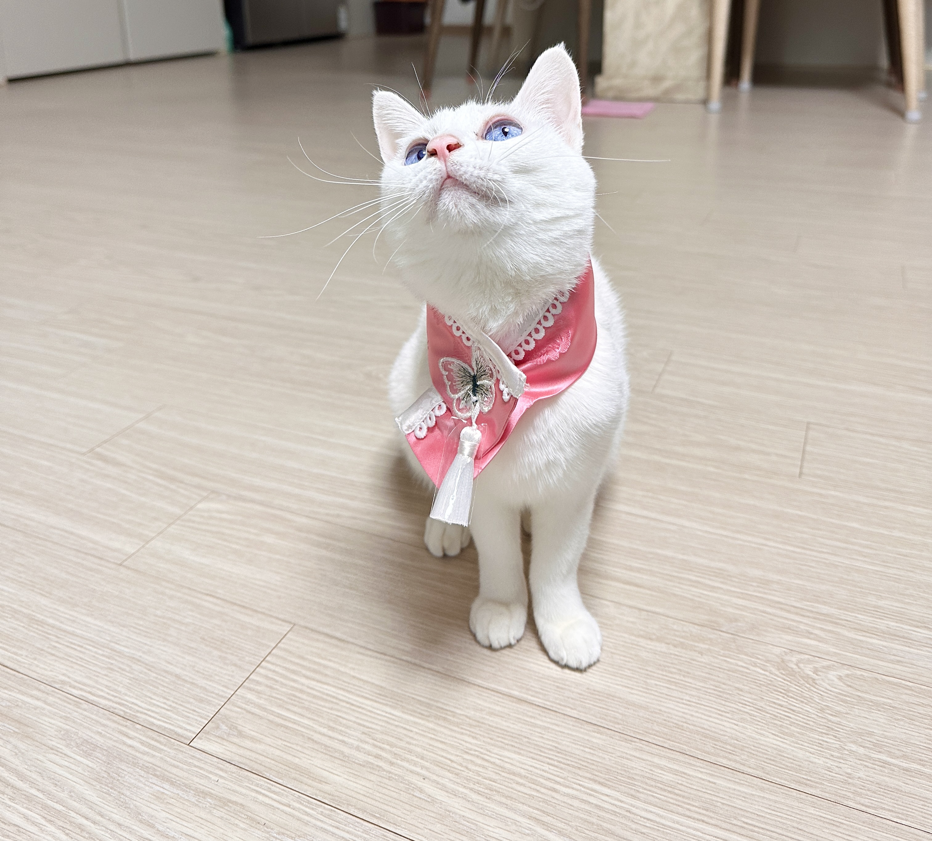 사휘킹 프로필 이미지