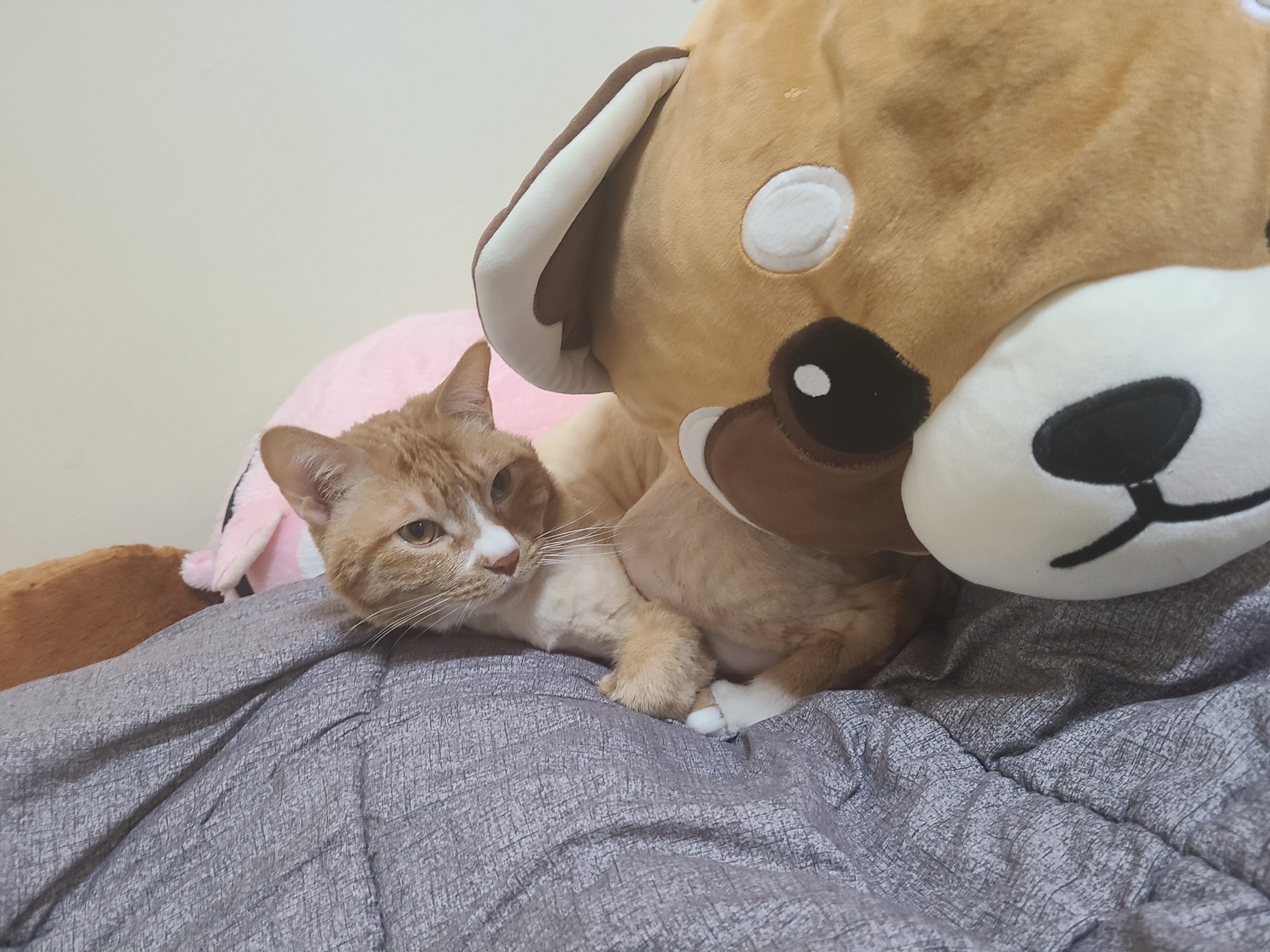 알알이 프로필 이미지