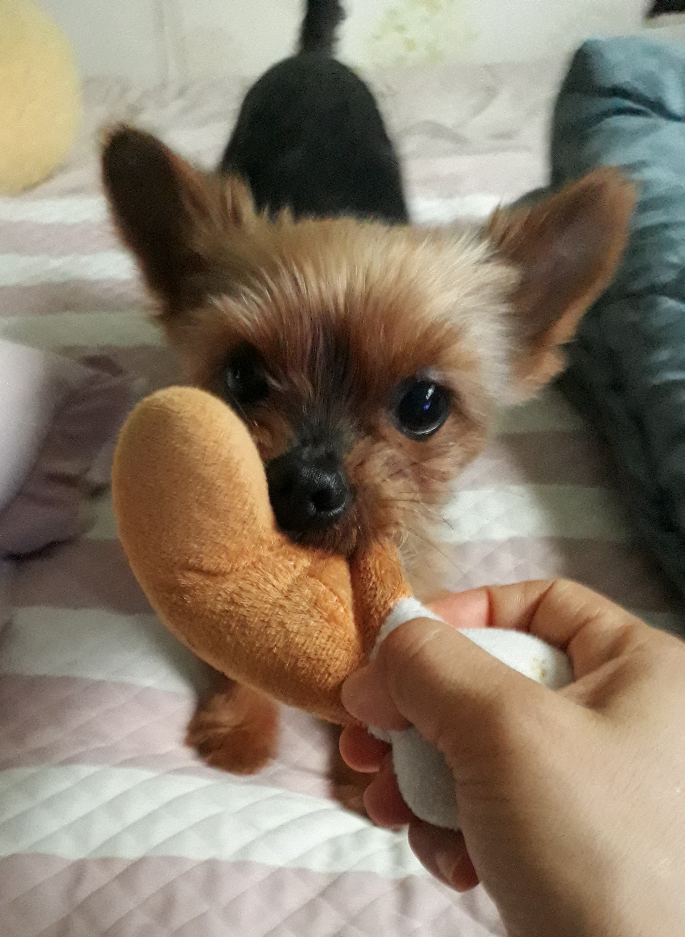 우리72 프로필 이미지