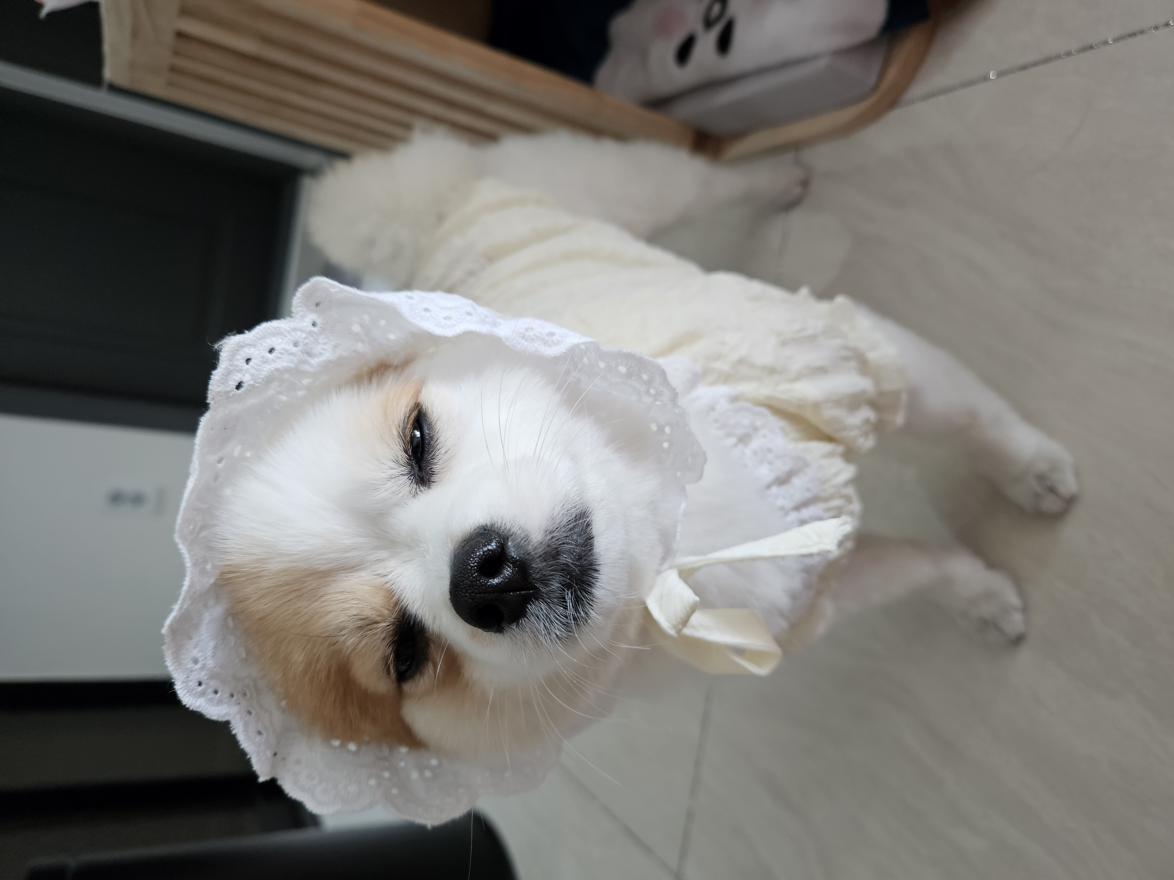 메리공주 프로필 이미지
