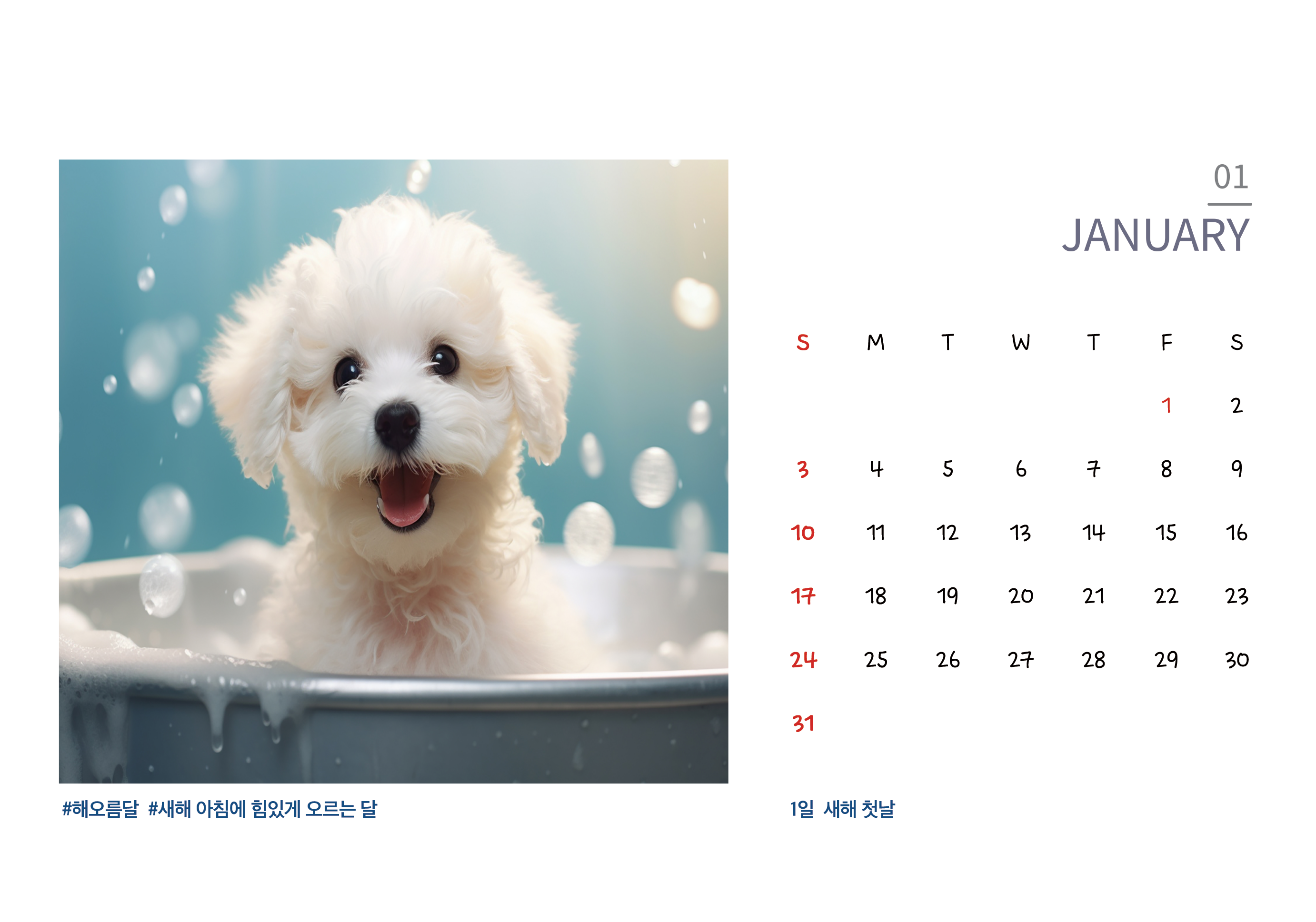 첨부 이미지