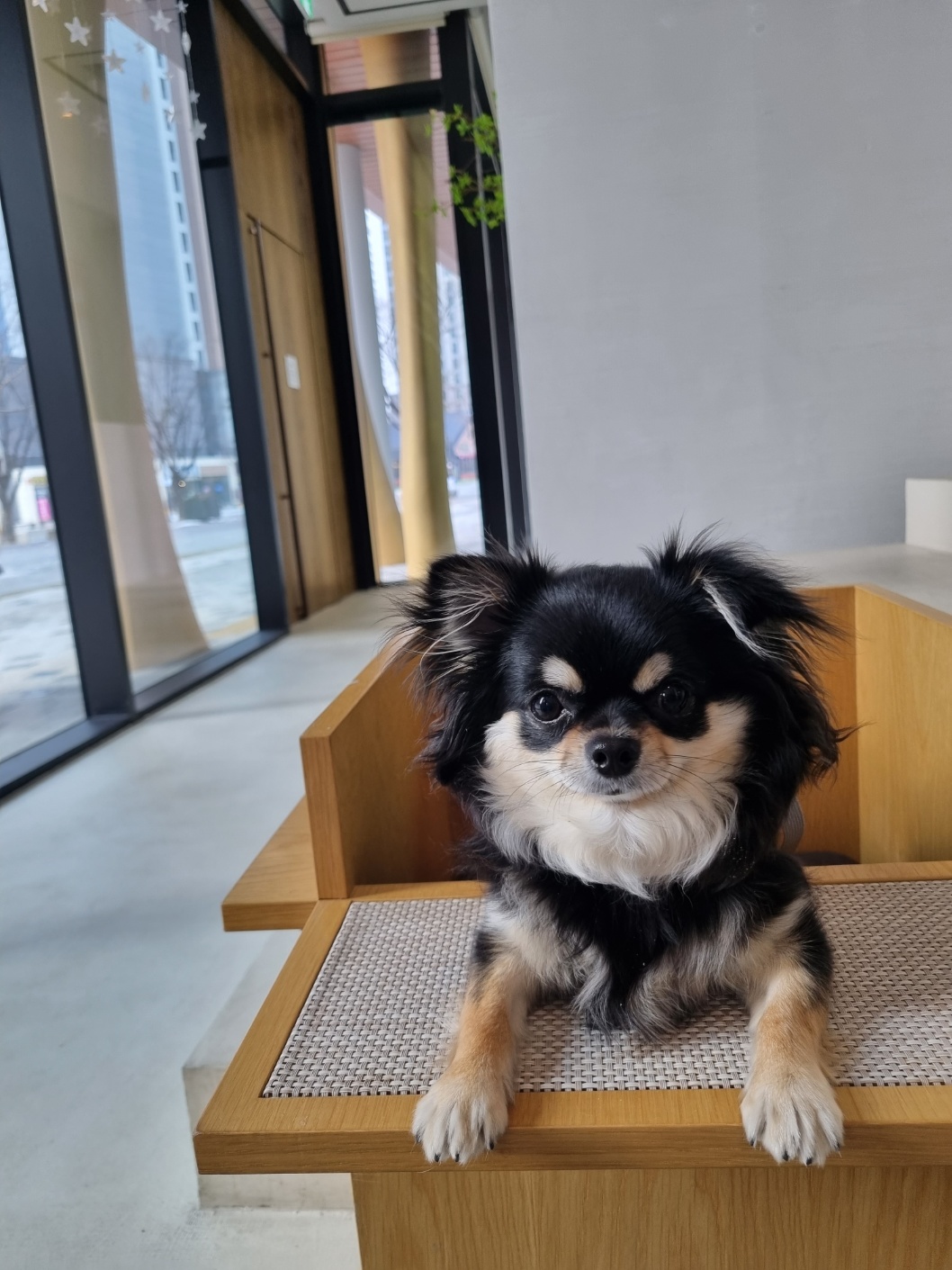 호두과자 프로필 이미지