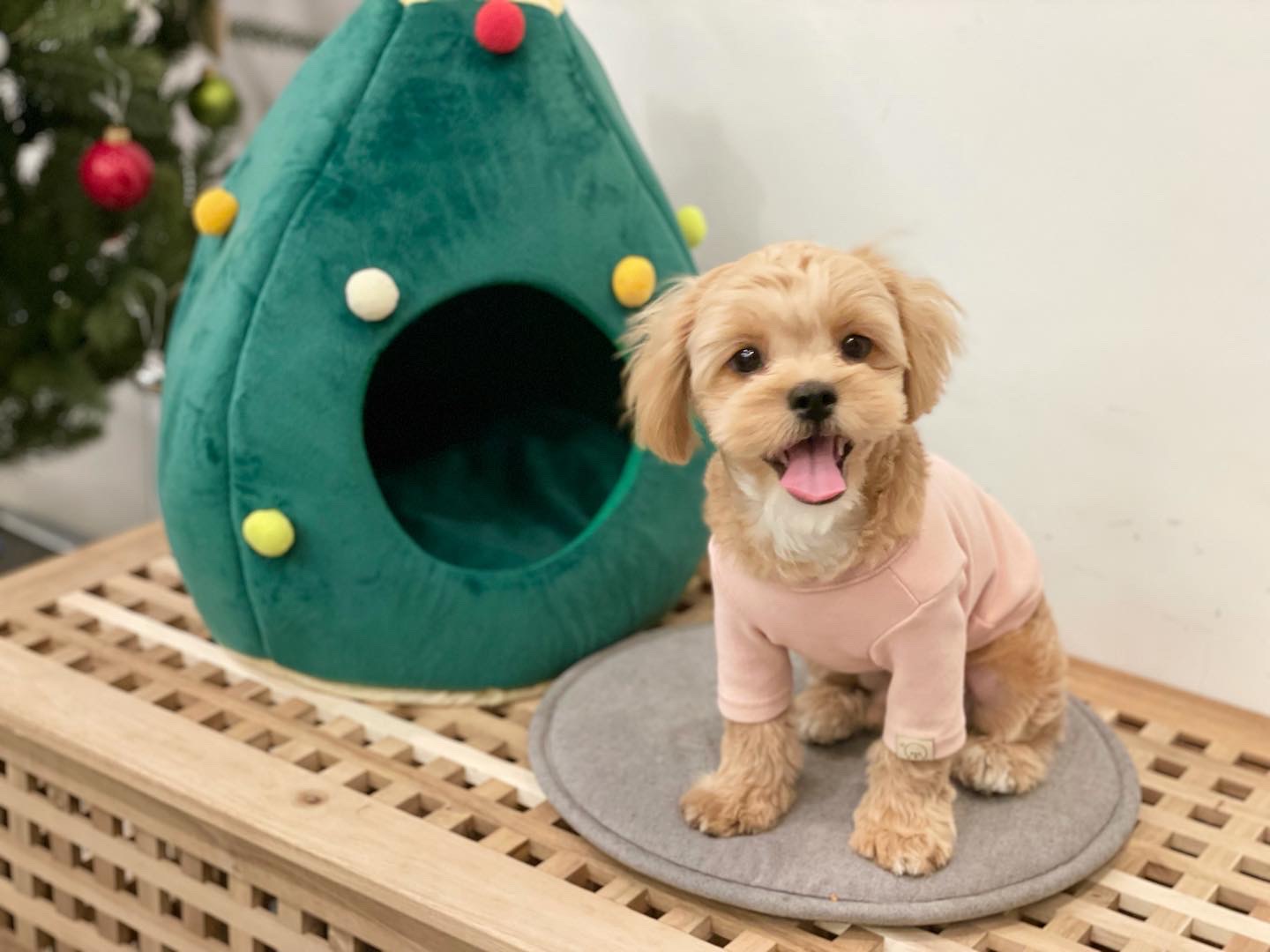 라꼼 프로필 이미지