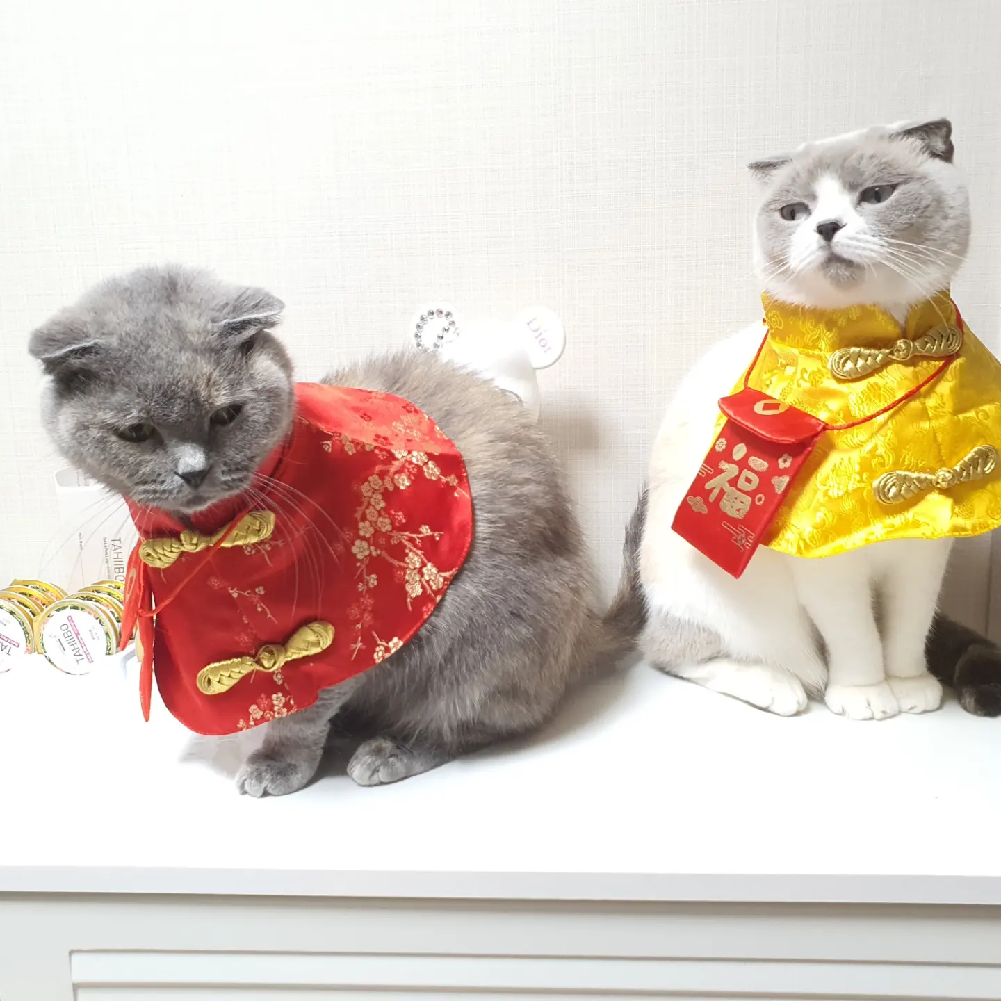 둥이 프로필 이미지