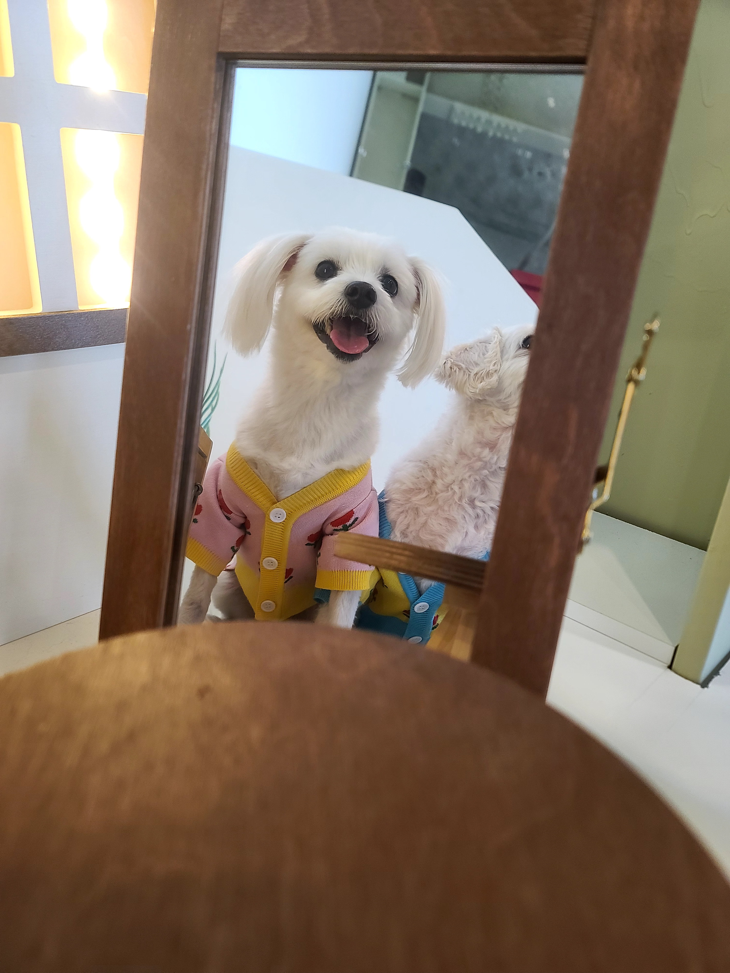 bottari_mom 프로필 이미지