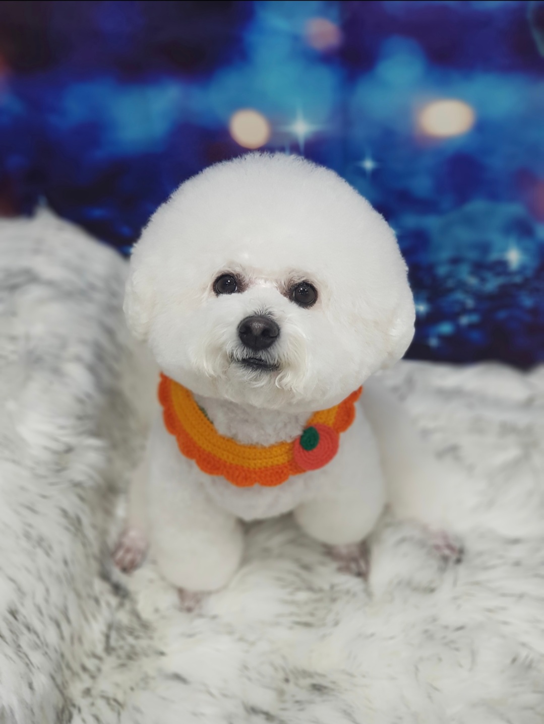 댕이어멈 프로필 이미지