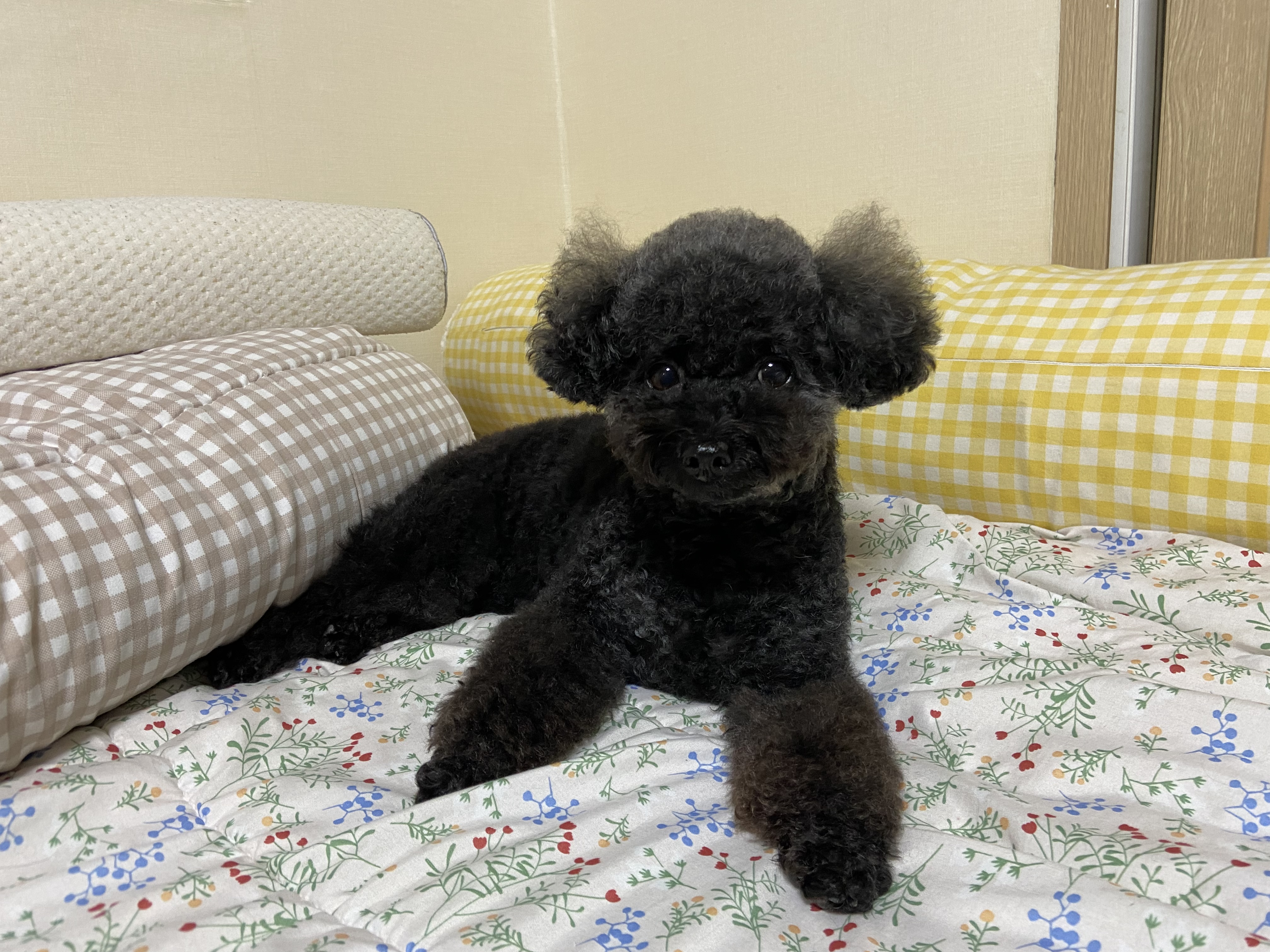 soon2chu 프로필 이미지