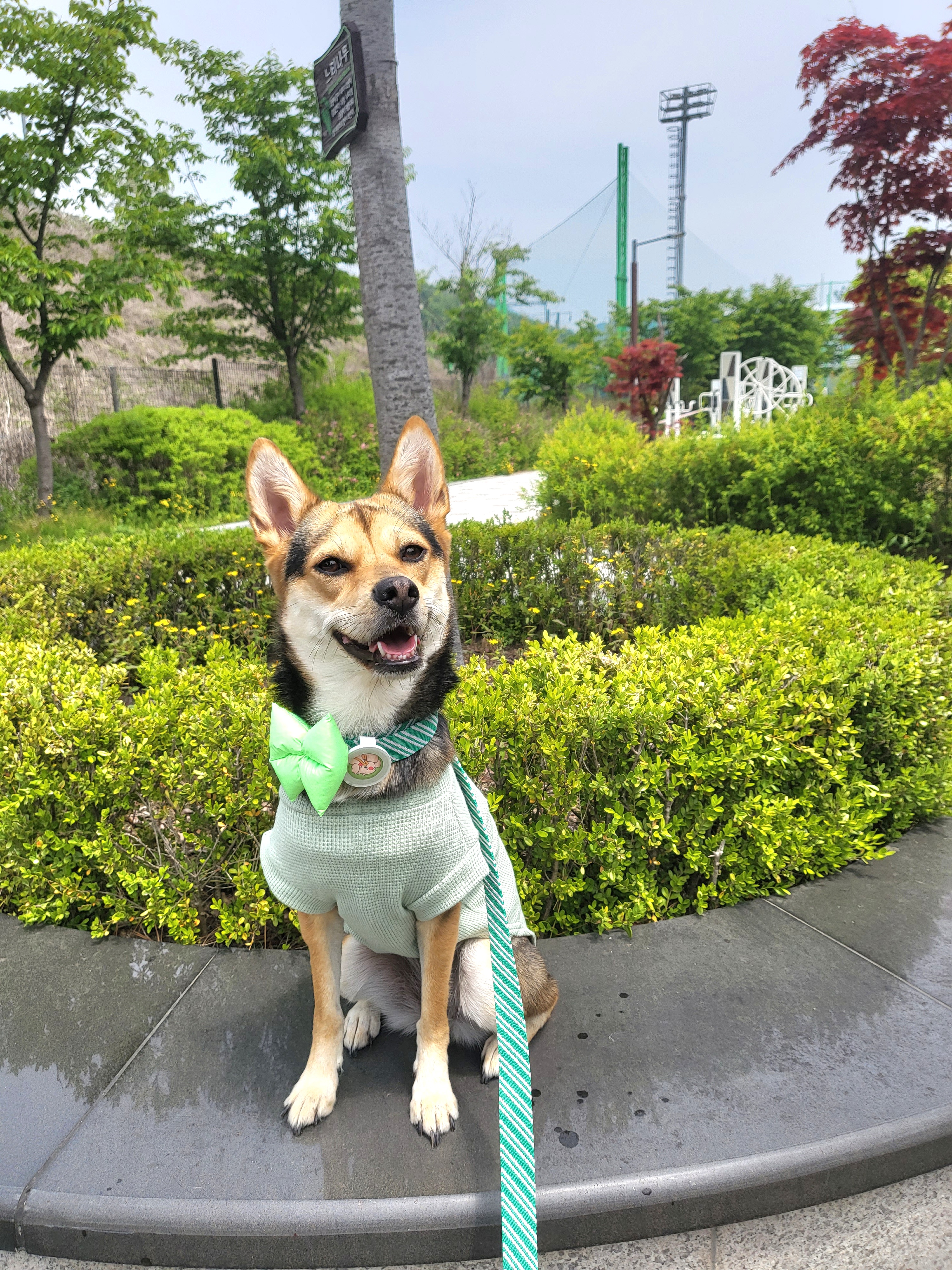 hello___tan 프로필 이미지