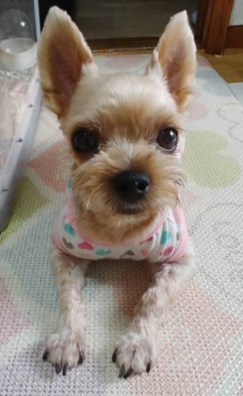 테리엄마 프로필 이미지
