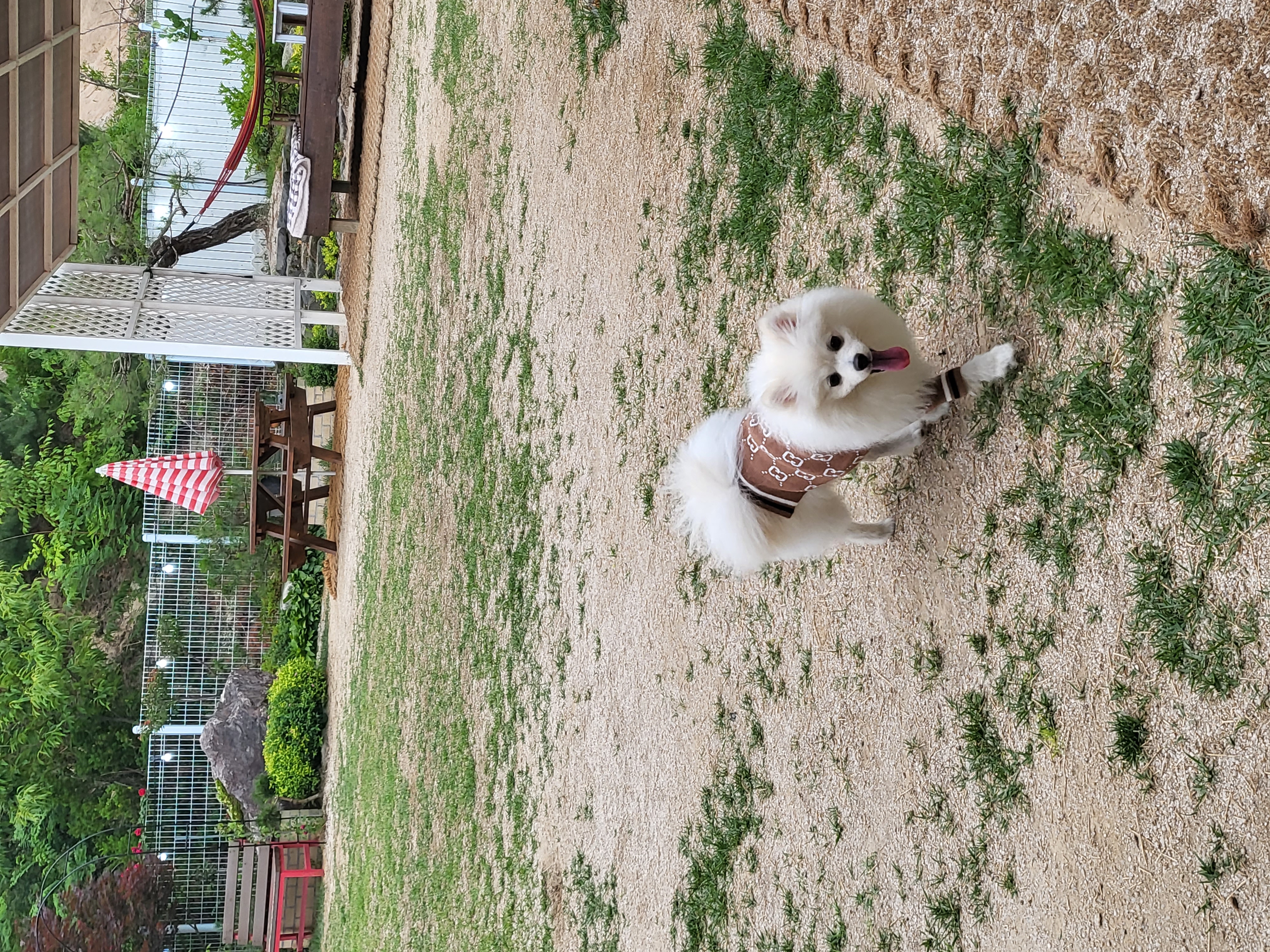 망두엄마 프로필 이미지