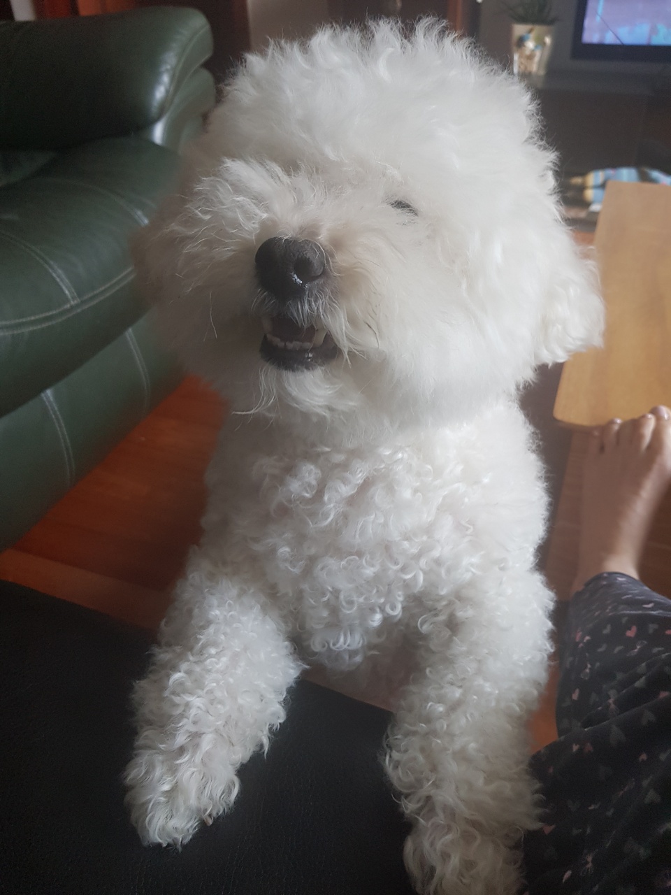 봉봉이 프로필 이미지