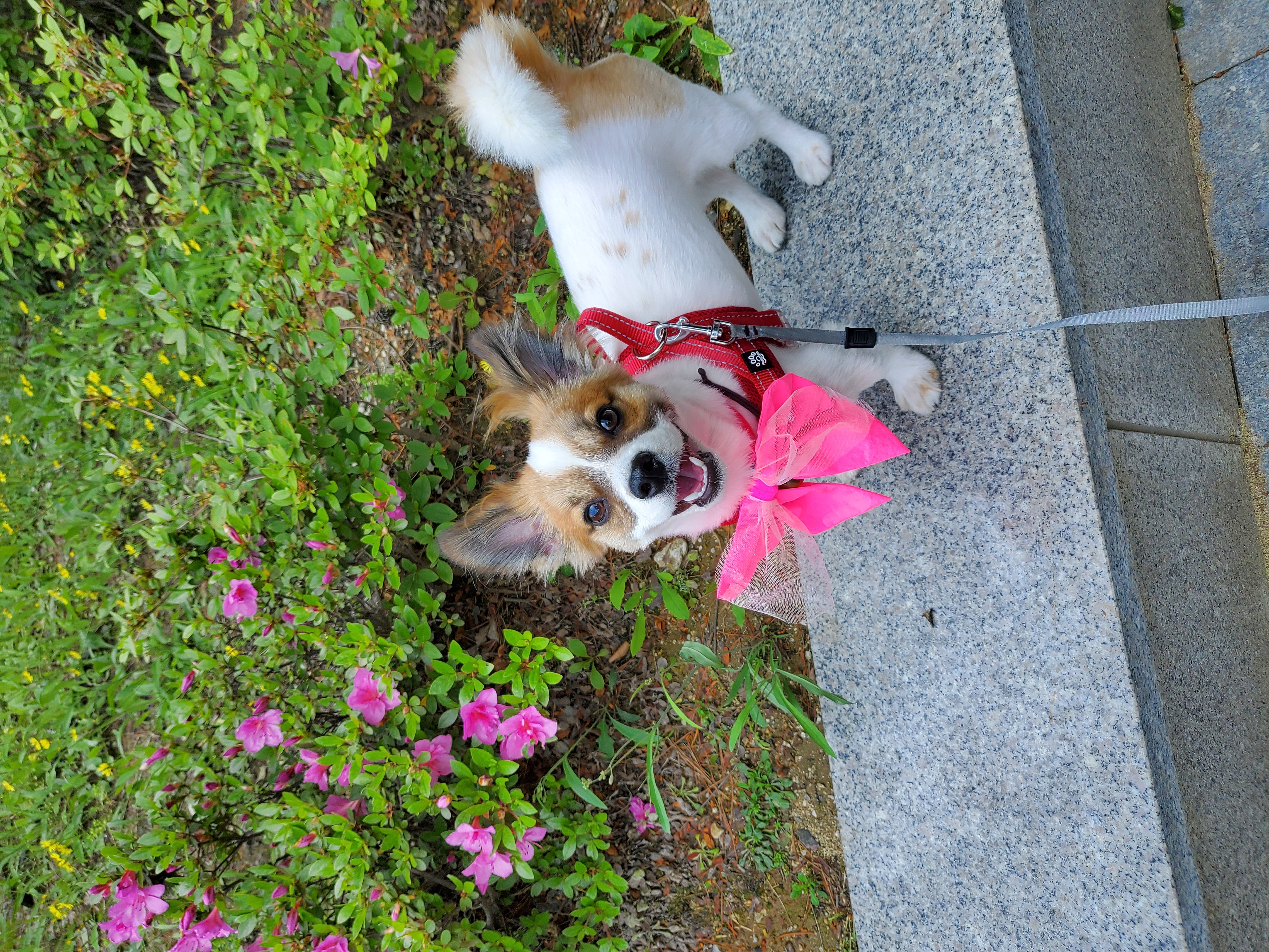 돌찡이 프로필 이미지