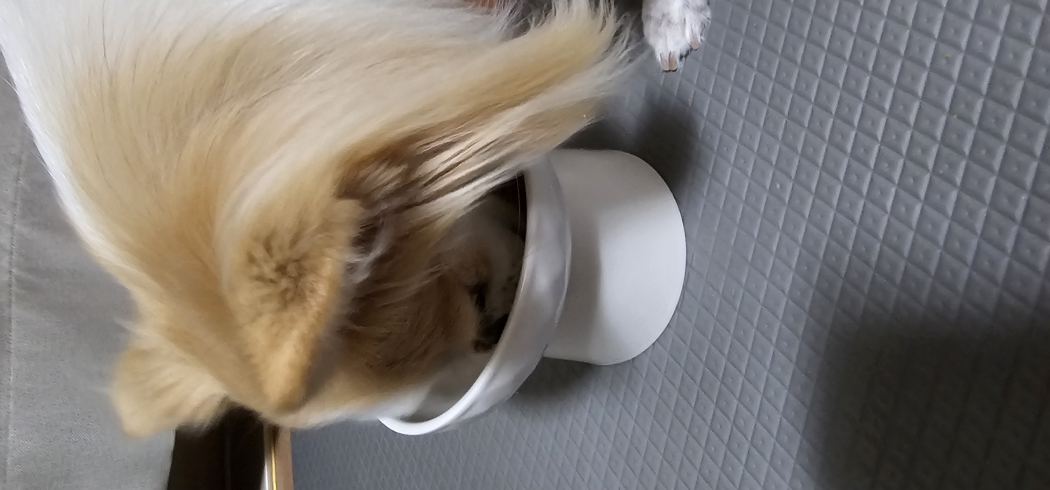 tgtfgo 프로필 이미지