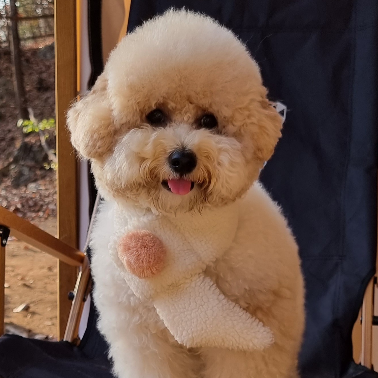 ㅂㄱㅁ 프로필 이미지