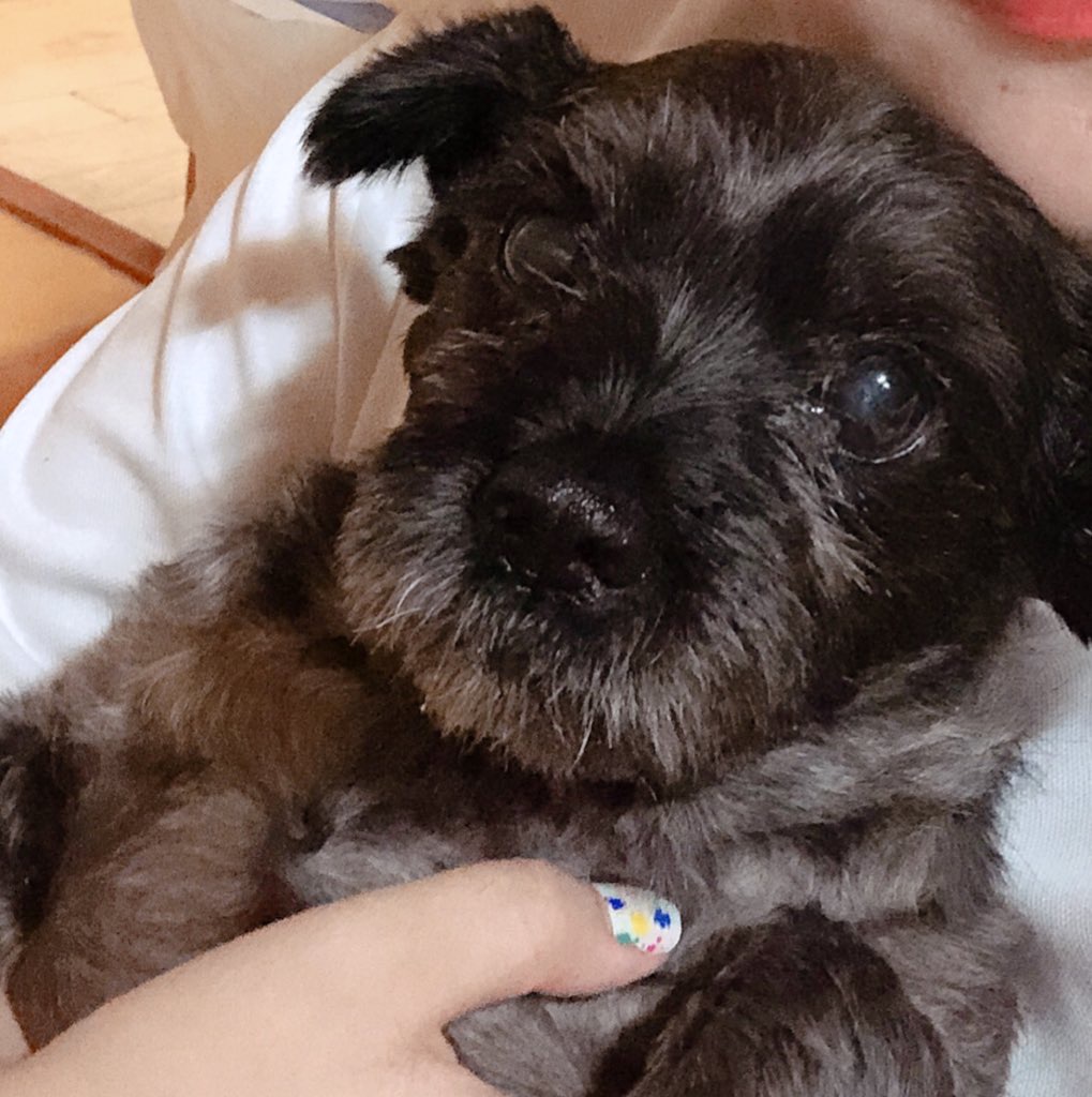 다대기짱 프로필 이미지