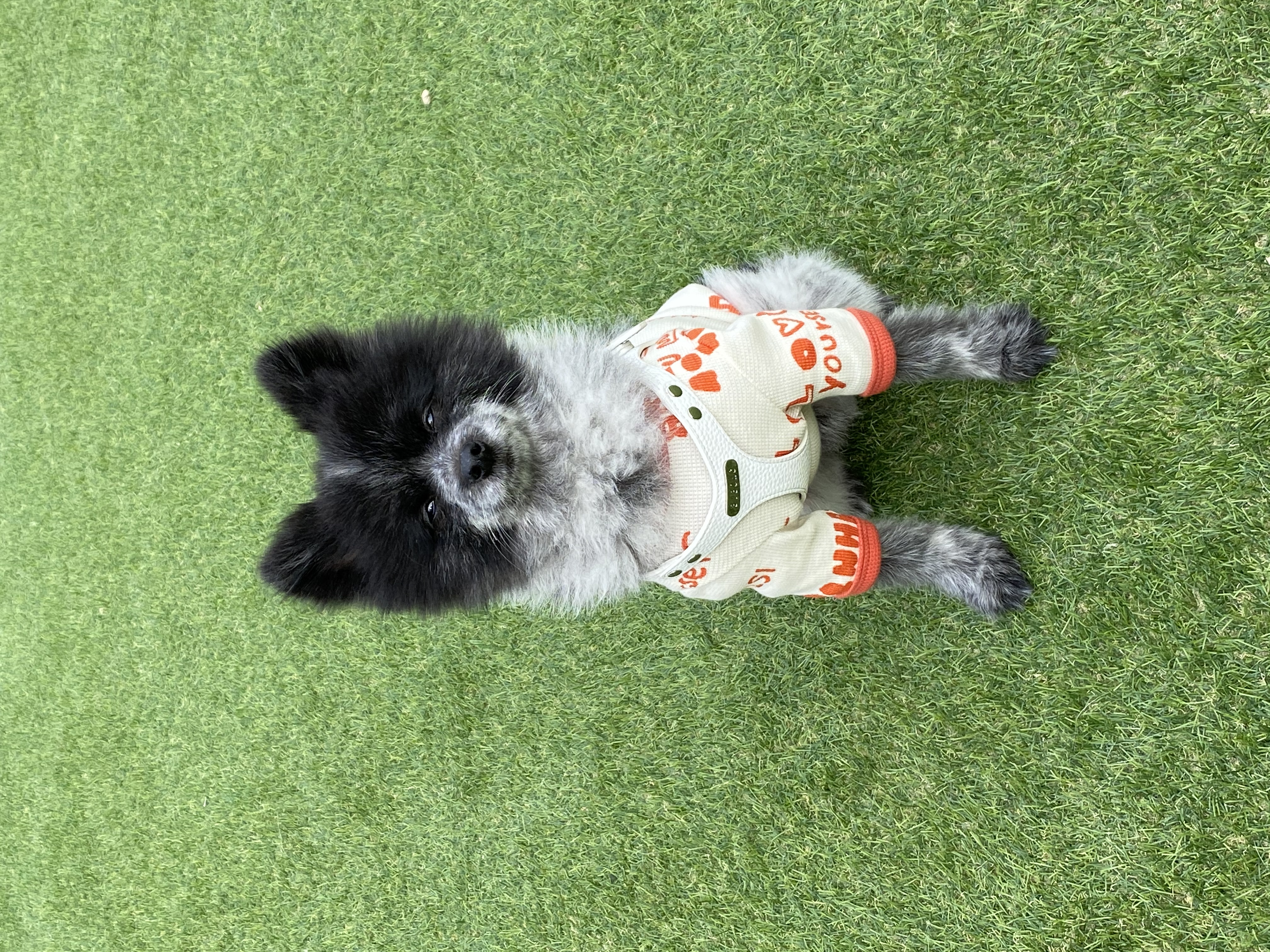 kmk12kk 프로필 이미지