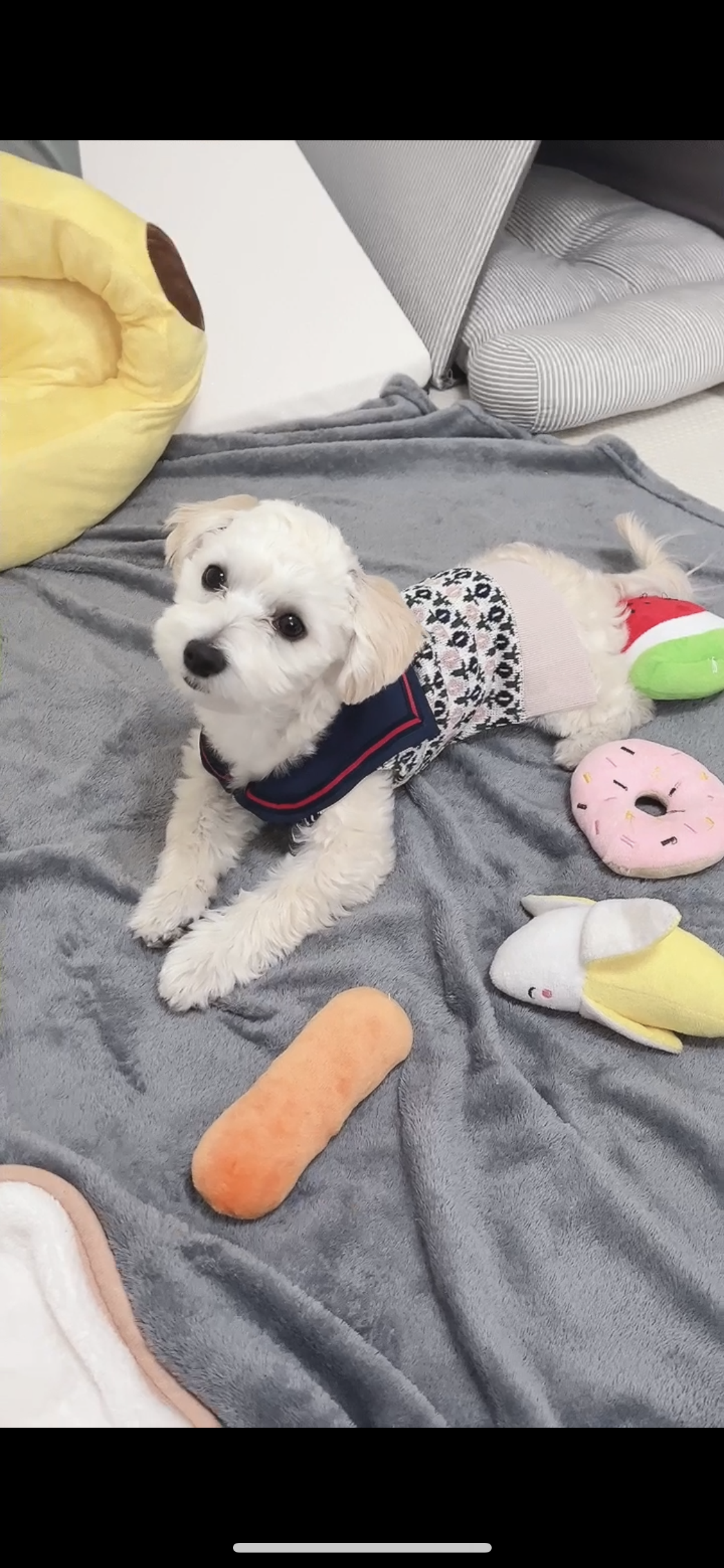 루이눈나엉아 프로필 이미지