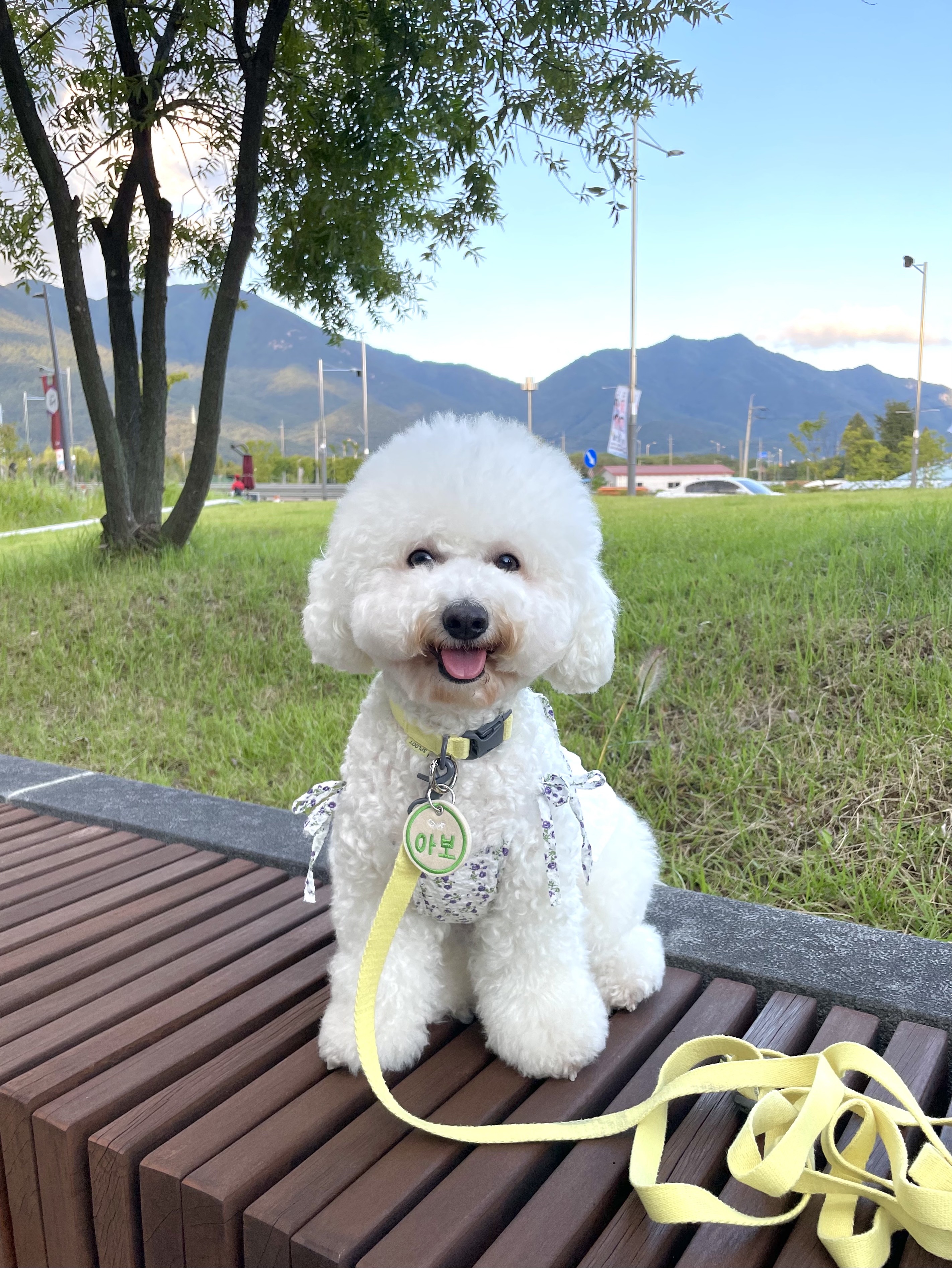 아보 프로필 이미지