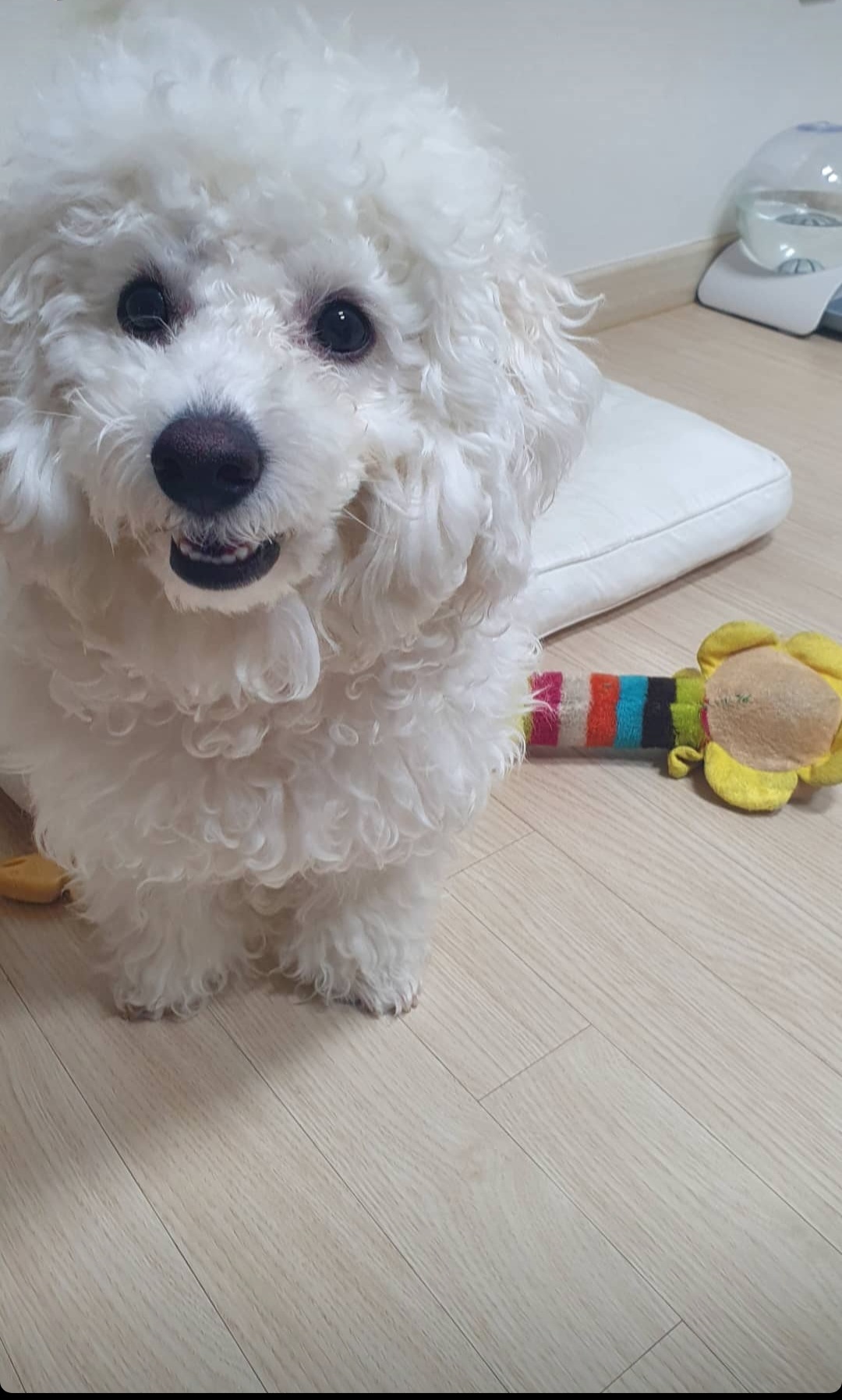 행복쿼카 프로필 이미지