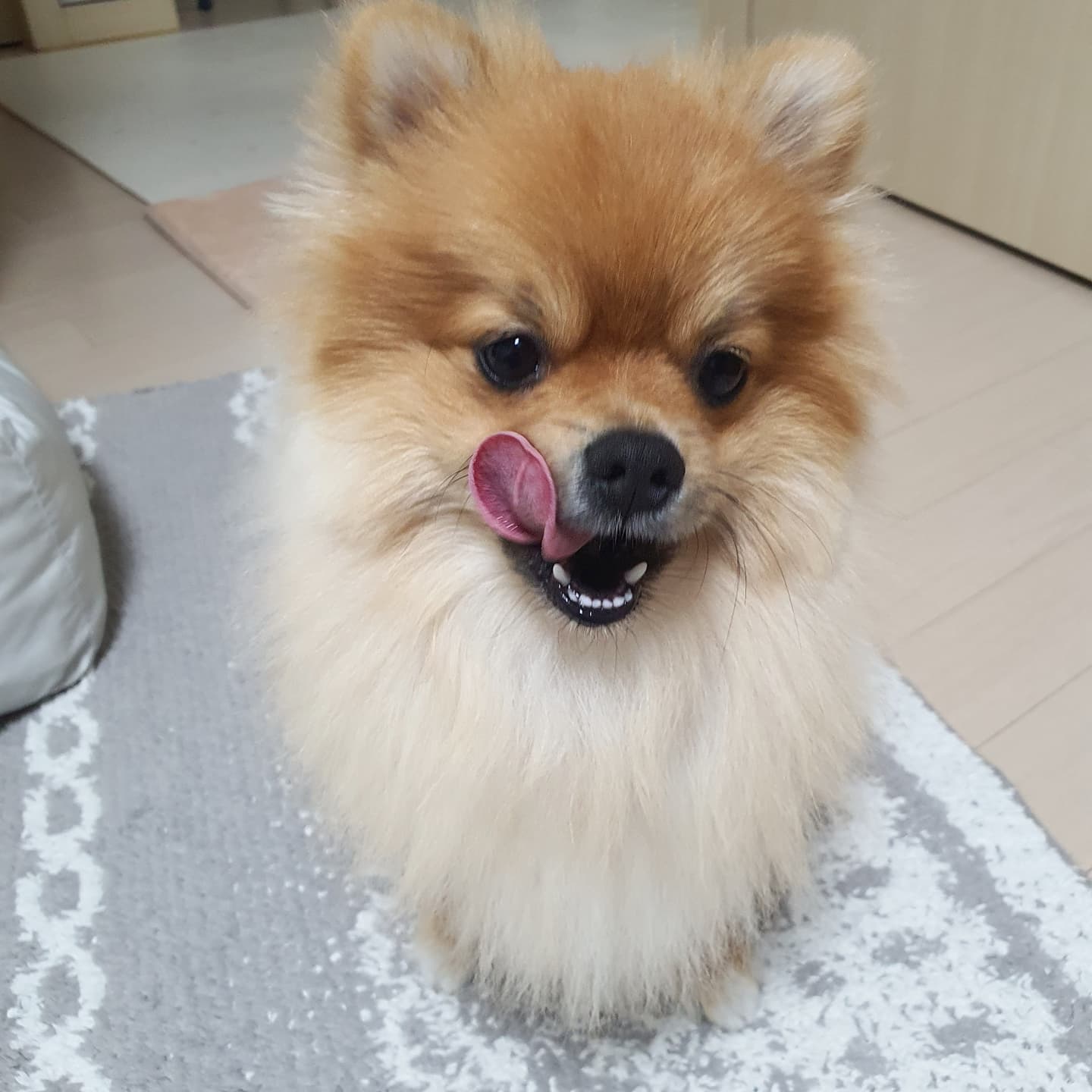 쎄이언니 프로필 이미지