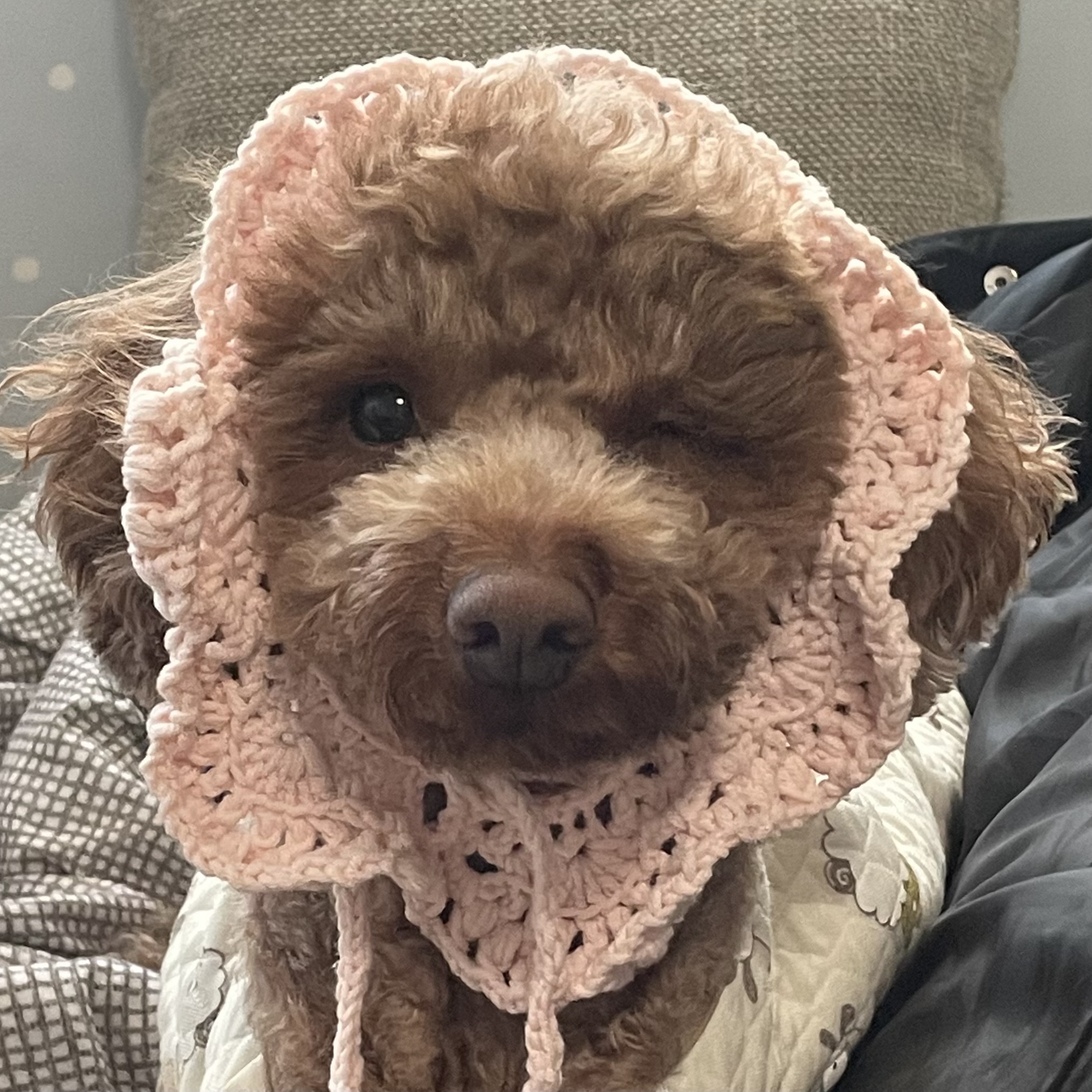 탈퇴한 회원 프로필 이미지