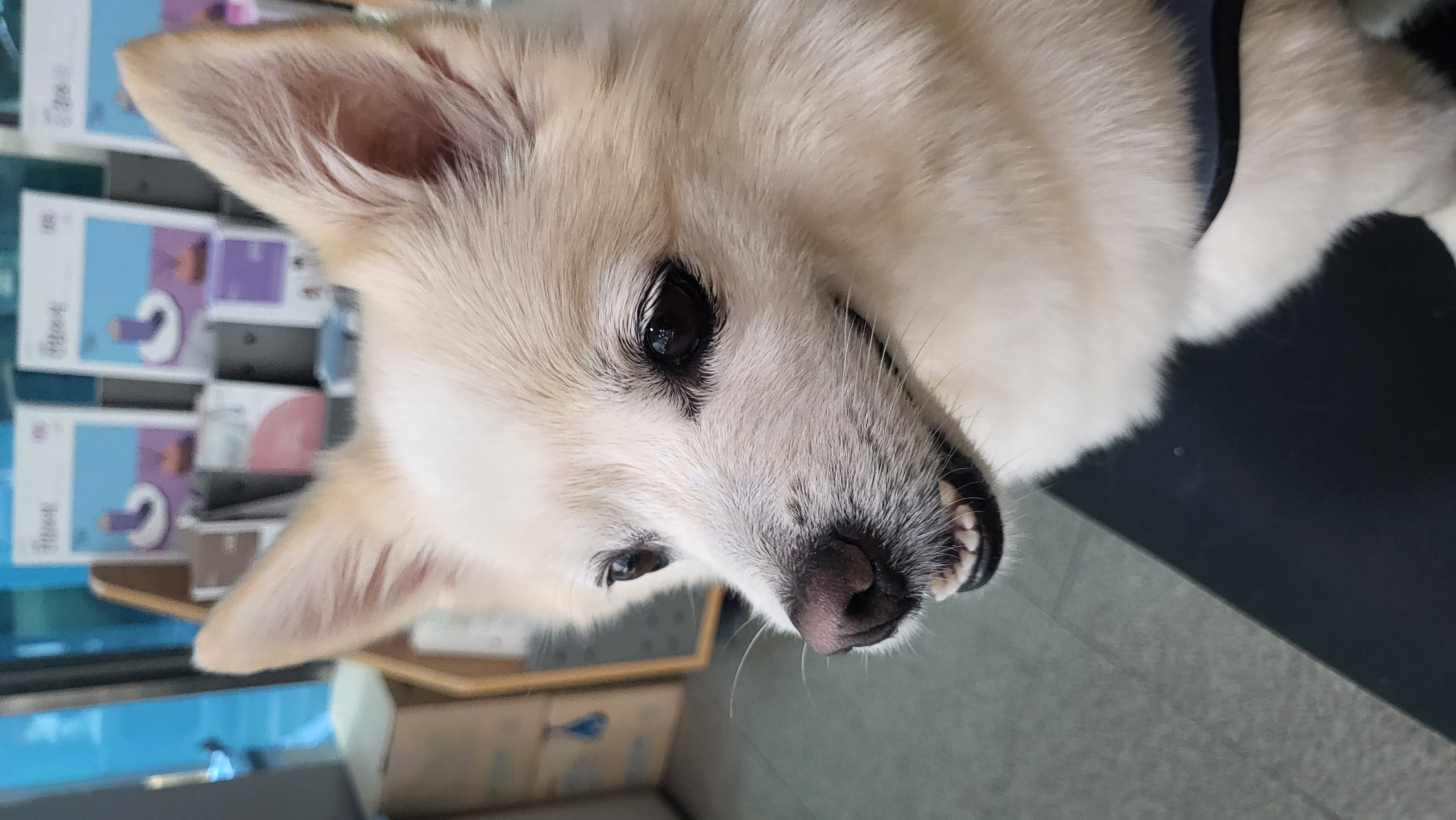 연두누나 프로필 이미지
