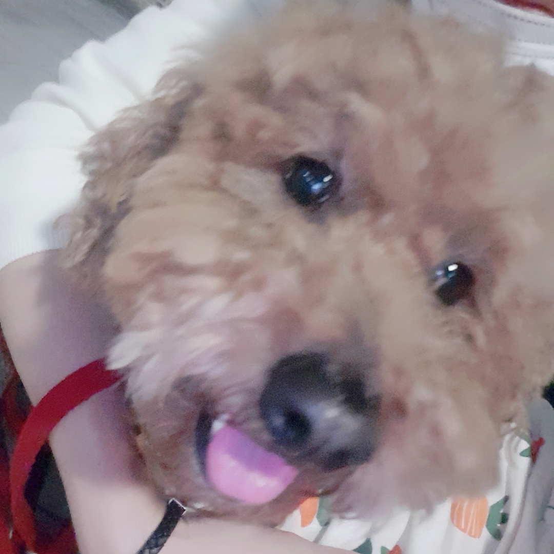 개진상루피 프로필 이미지
