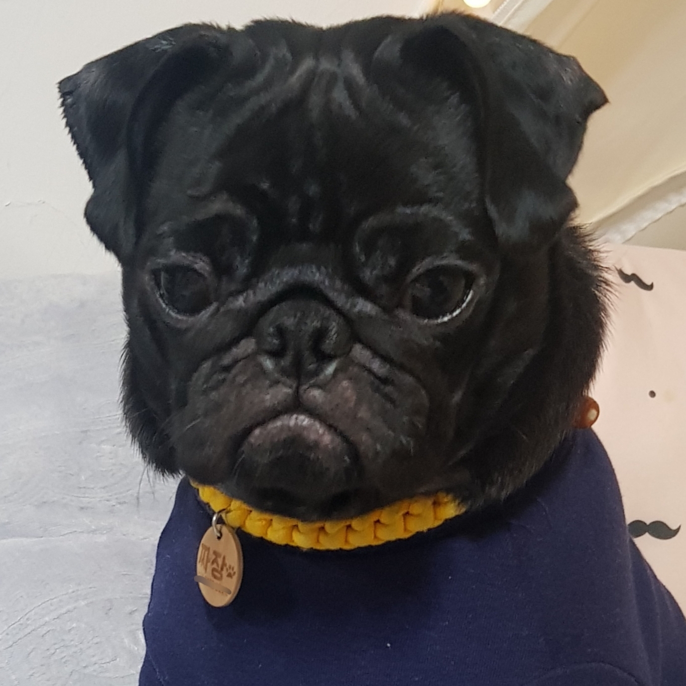 짜자미 프로필 이미지