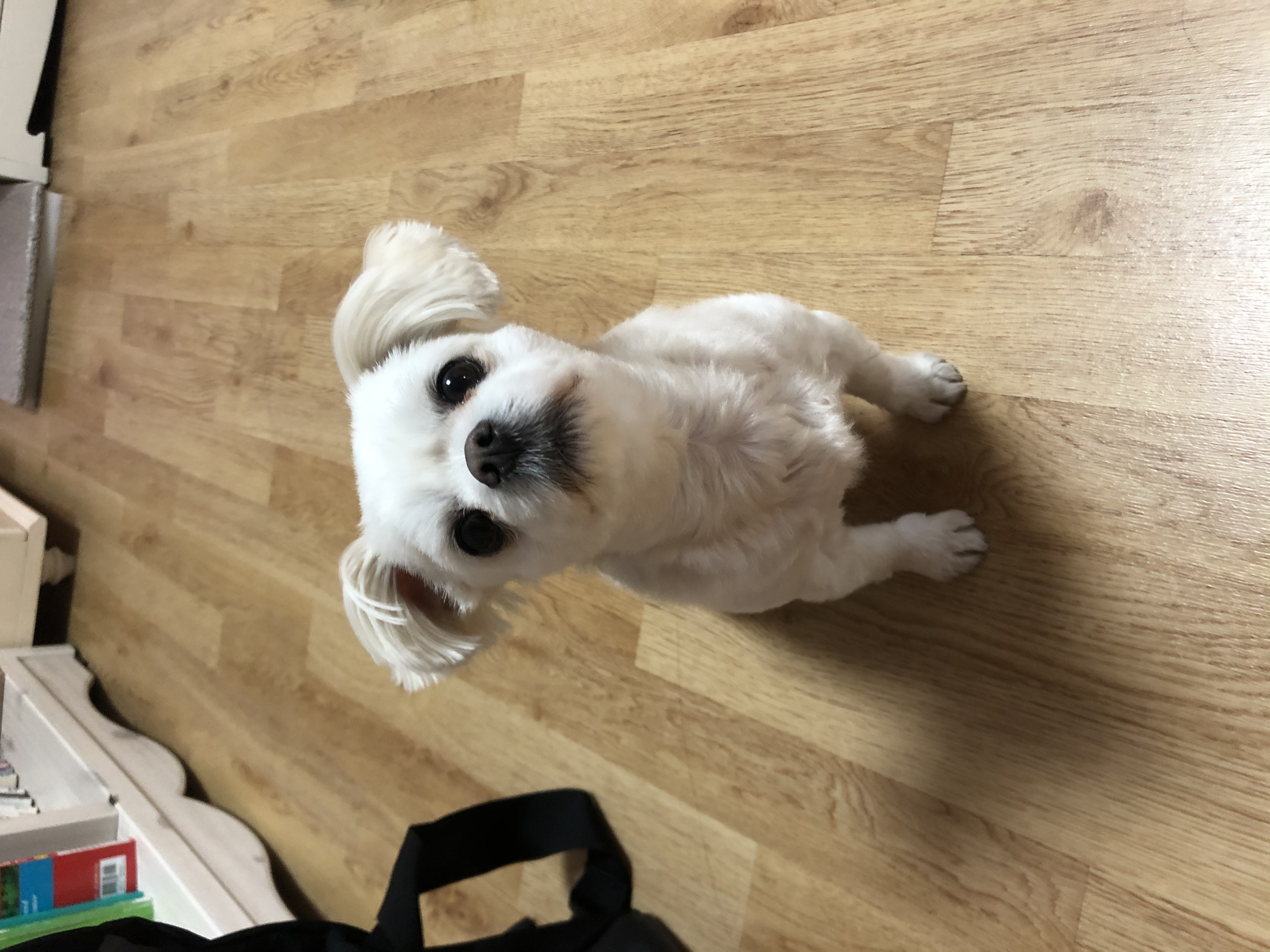나미 프로필 이미지