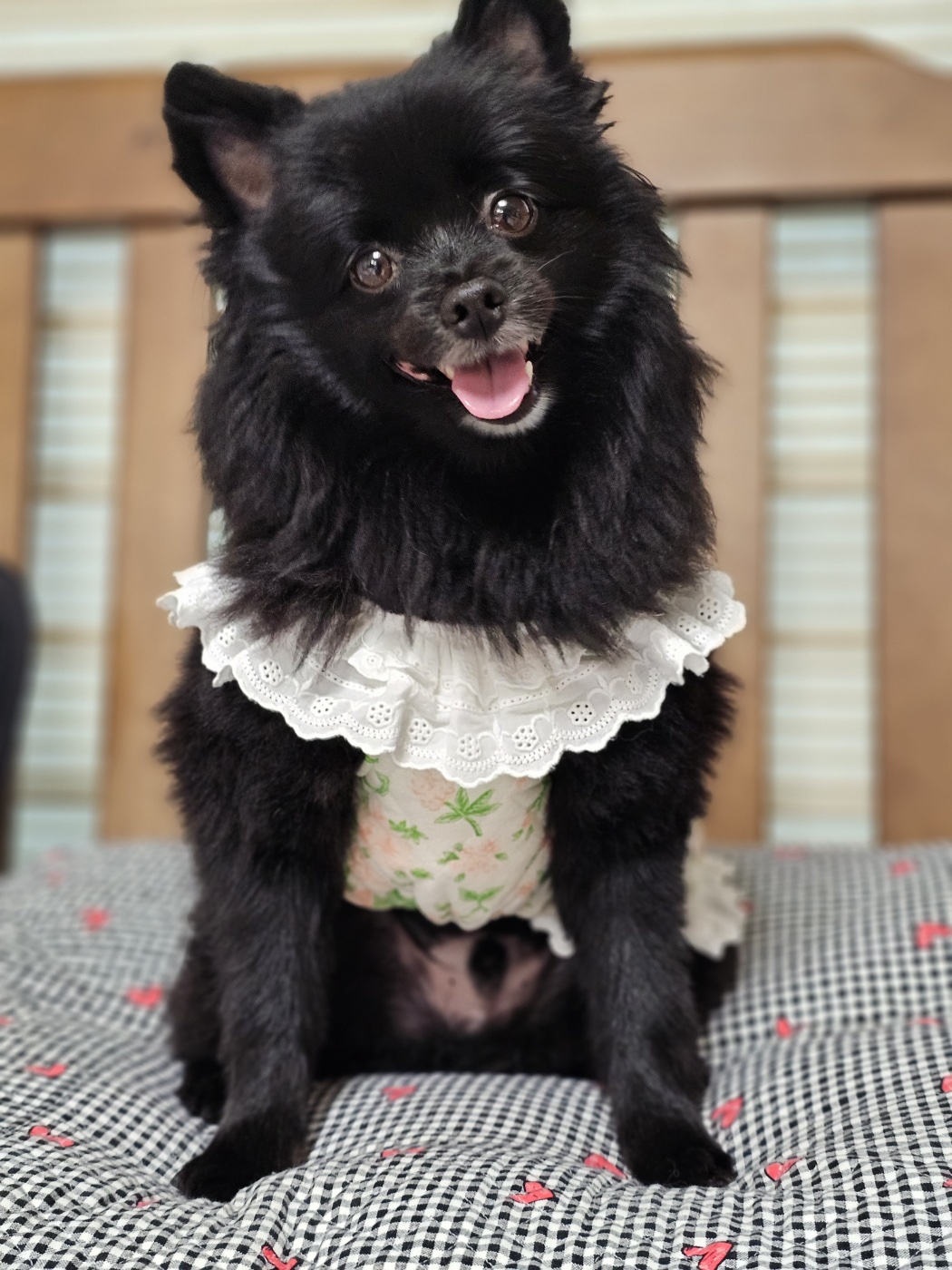 김포반달포비맘 프로필 이미지