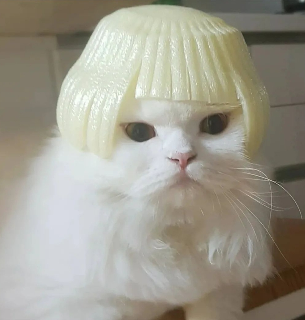 미라클 프로필 이미지