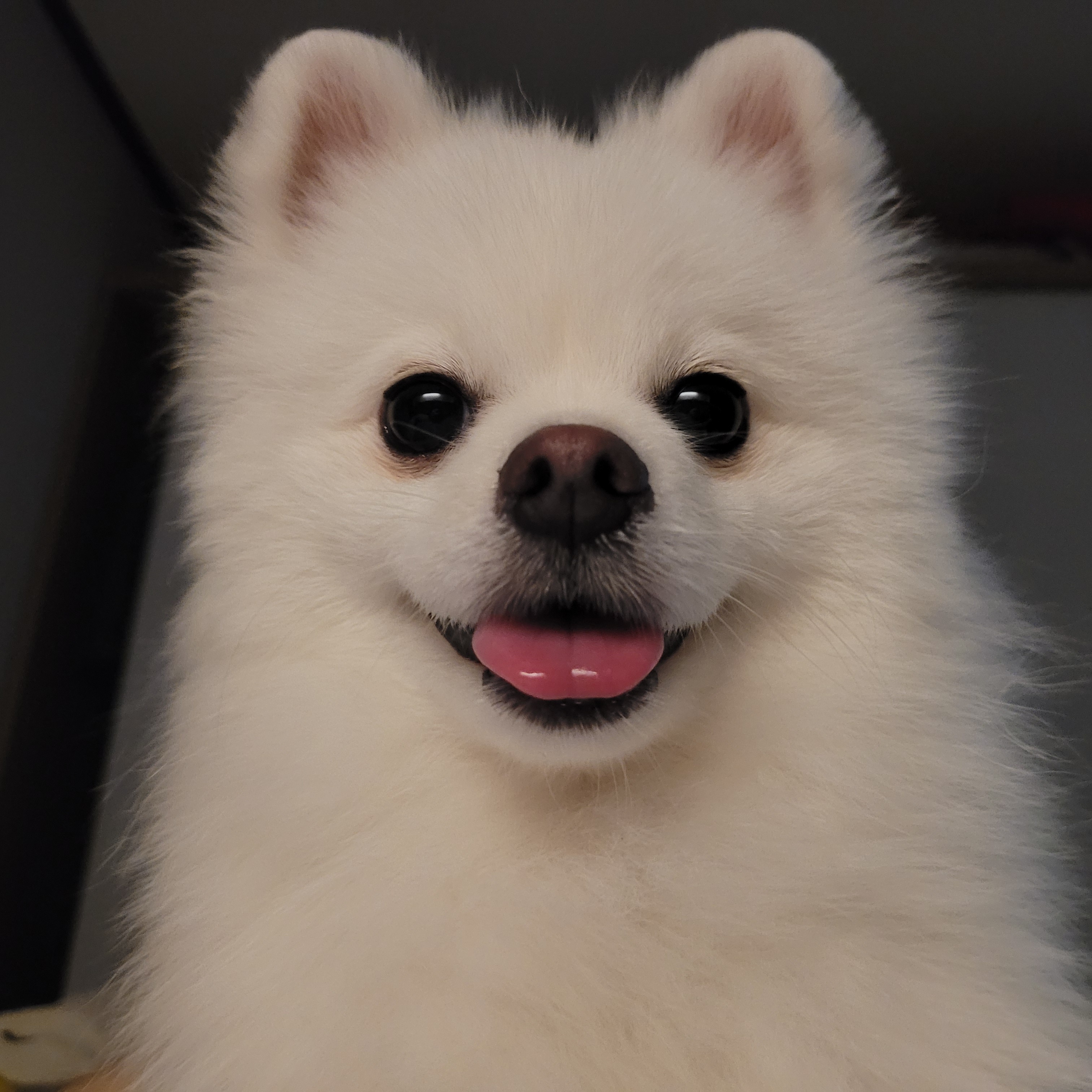 라오니 프로필 이미지