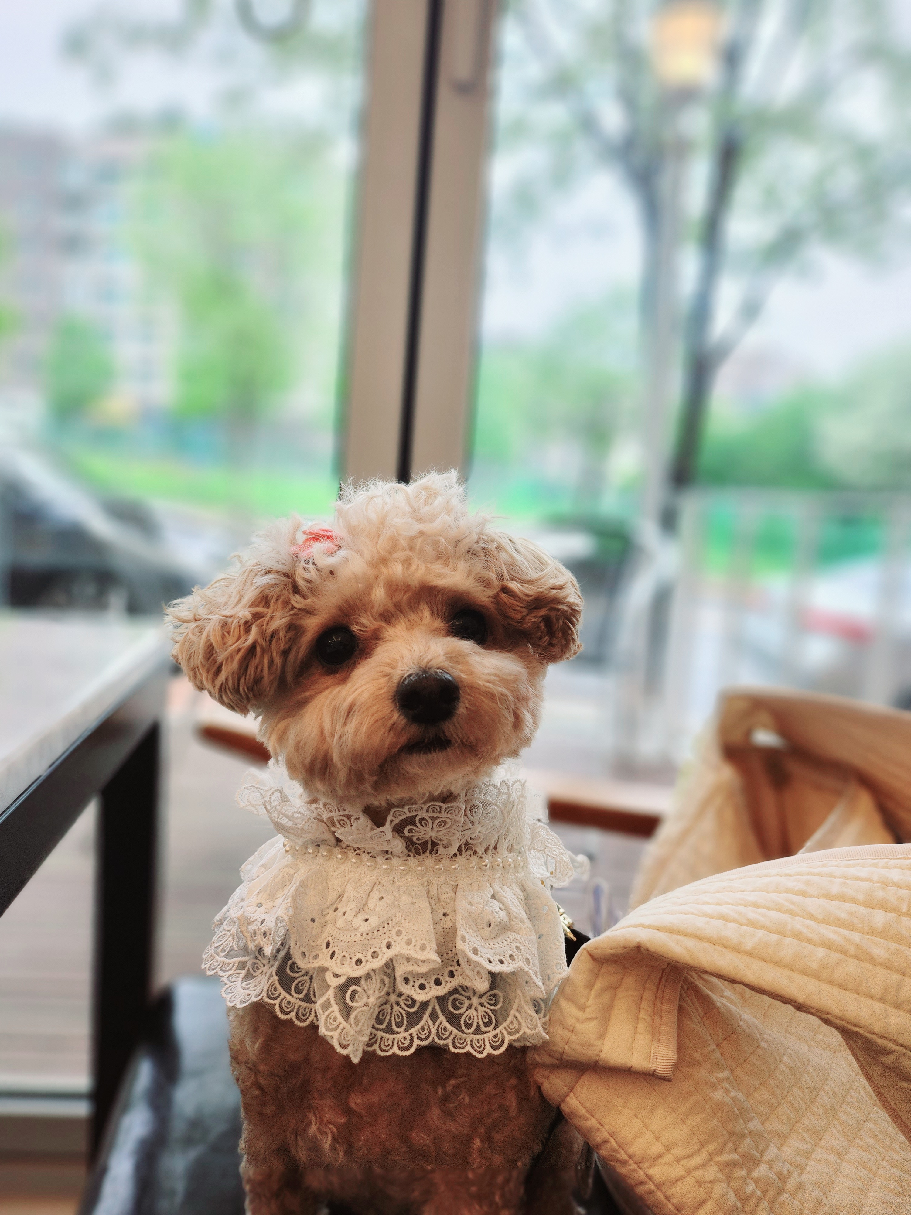 웃음꽃 프로필 이미지