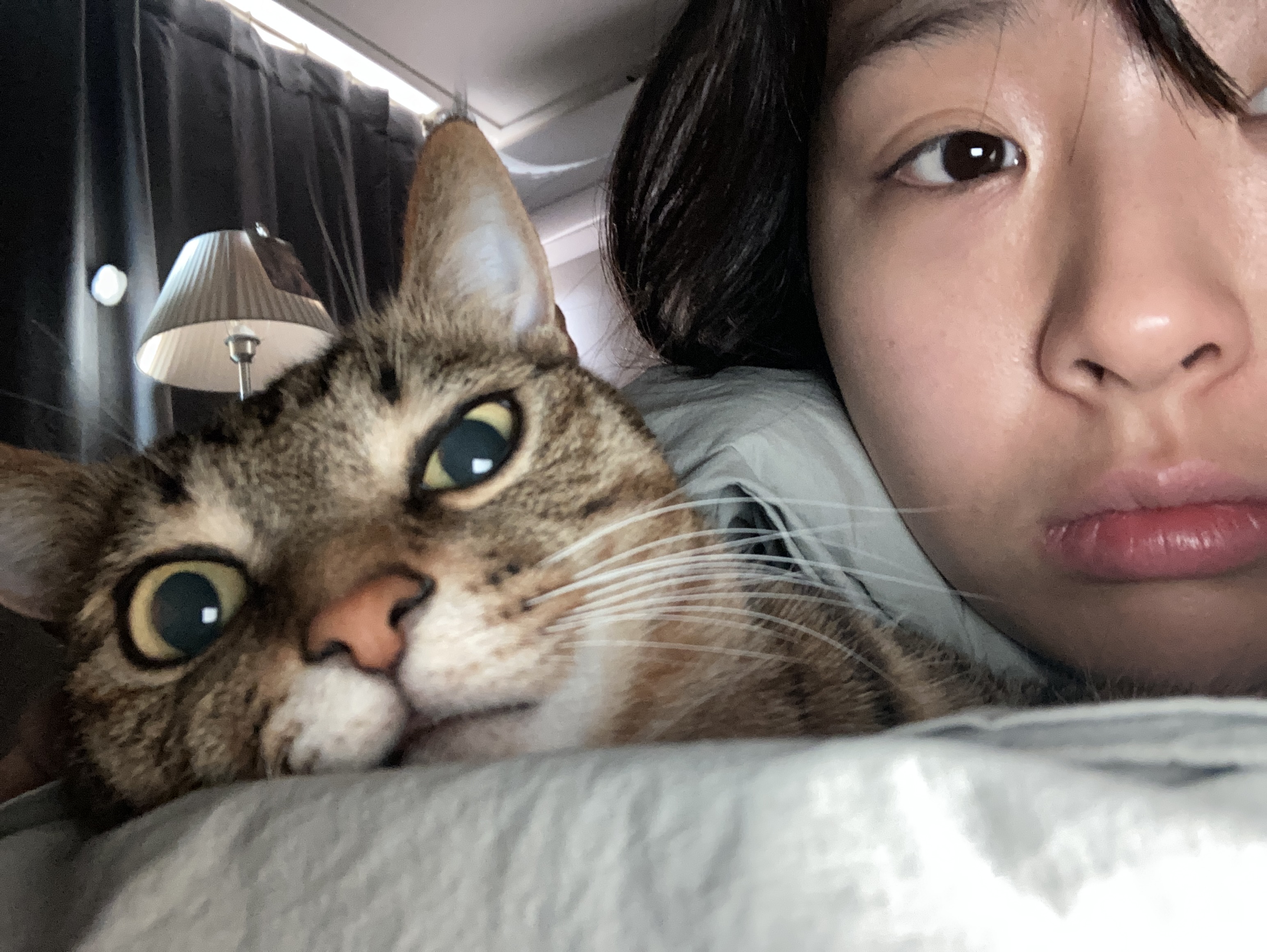 엄뇽라 프로필 이미지