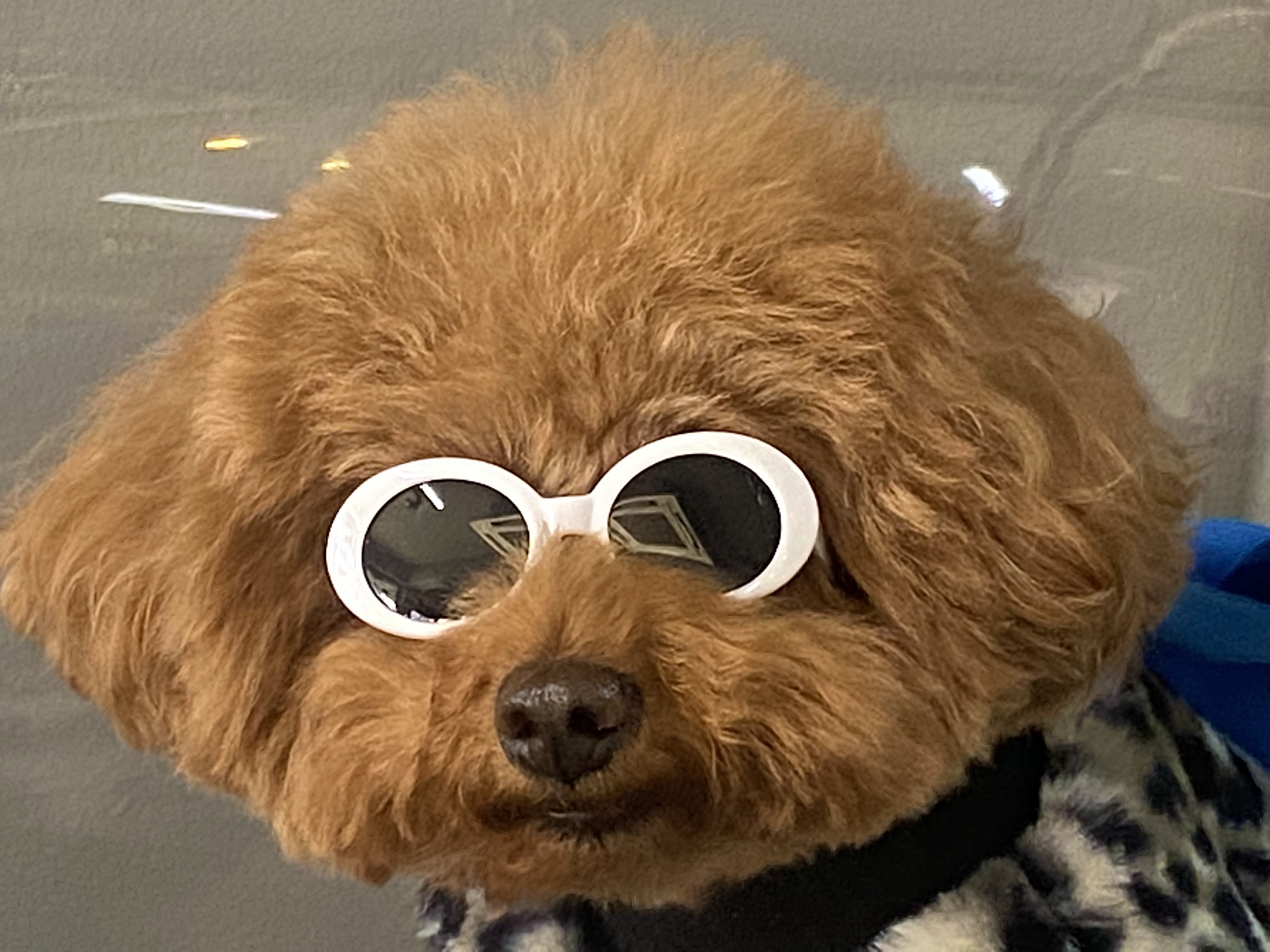 탈퇴한 회원 프로필 이미지