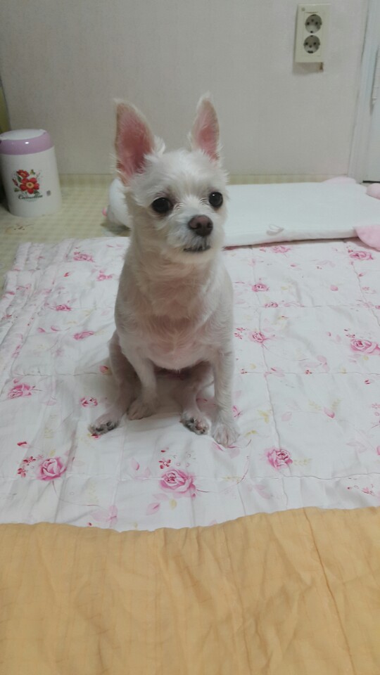 공주아빠 프로필 이미지