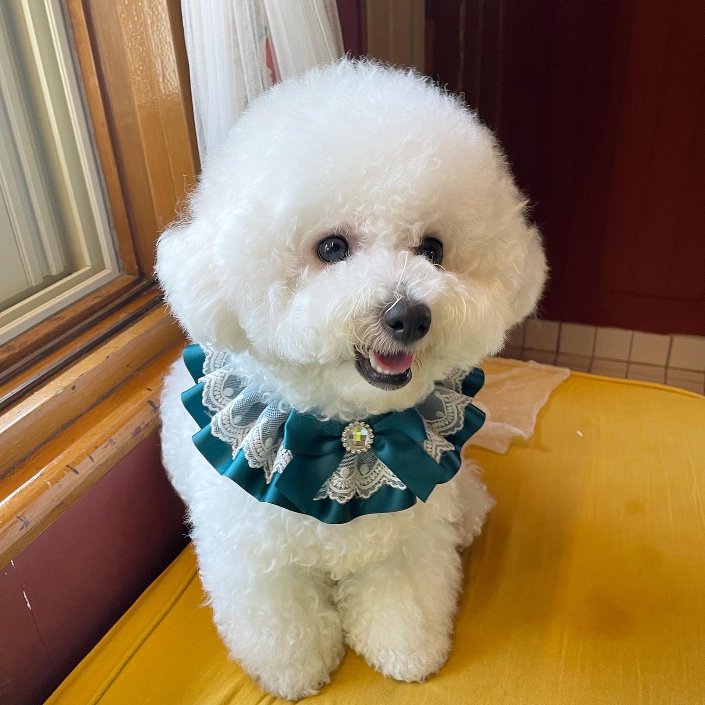 왕박이 프로필 이미지