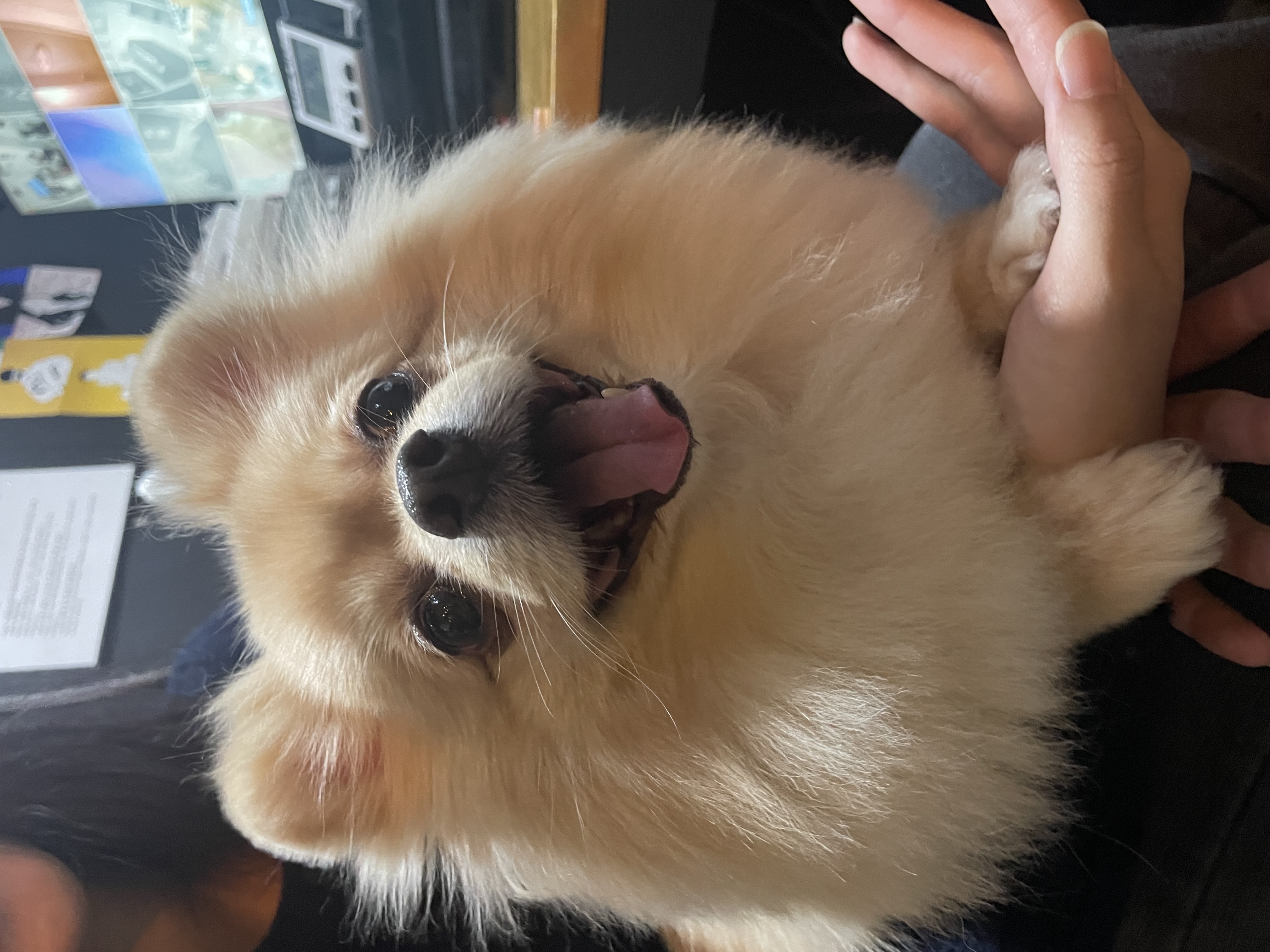 또구리 프로필 이미지