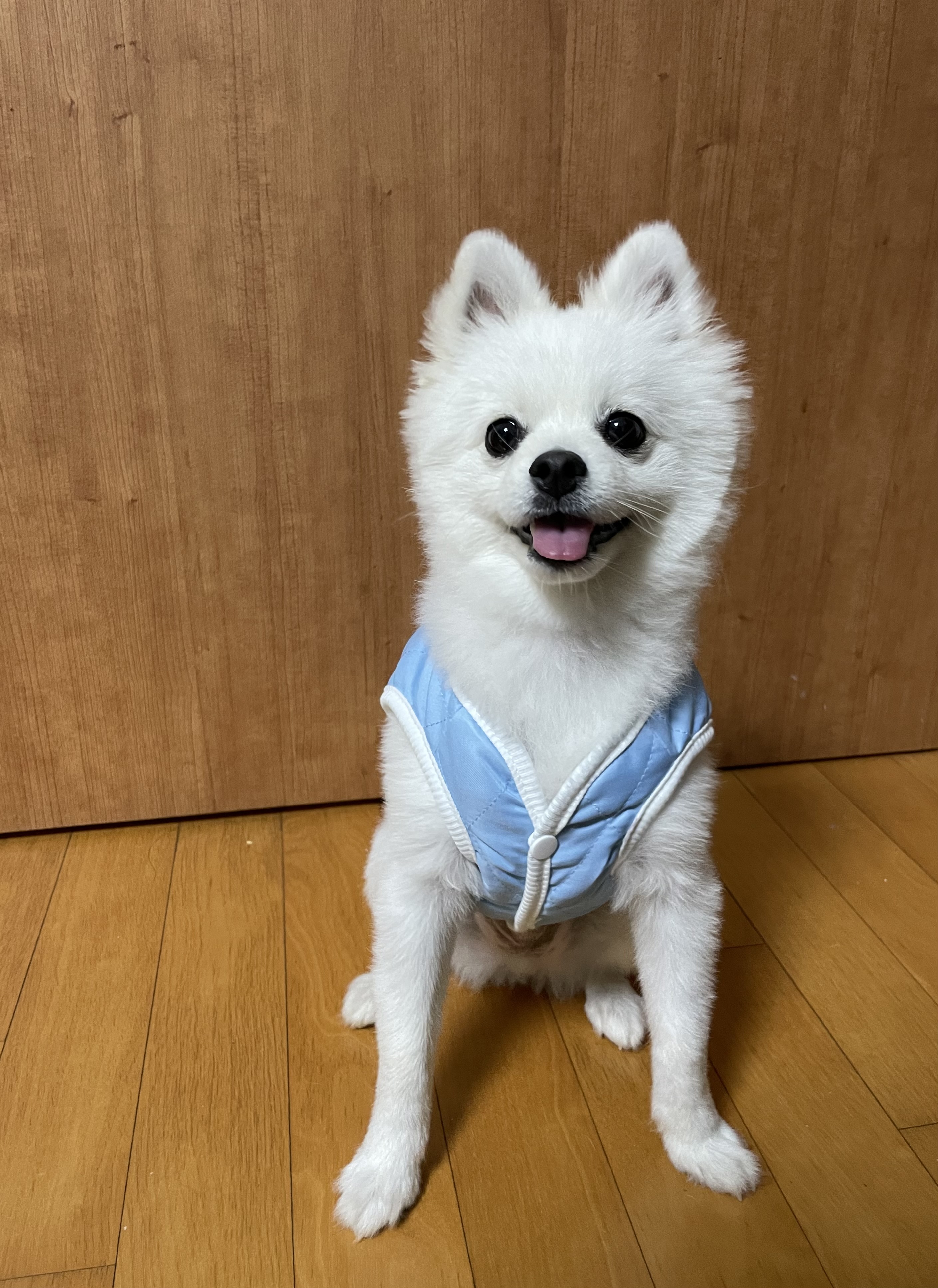 소금22 프로필 이미지